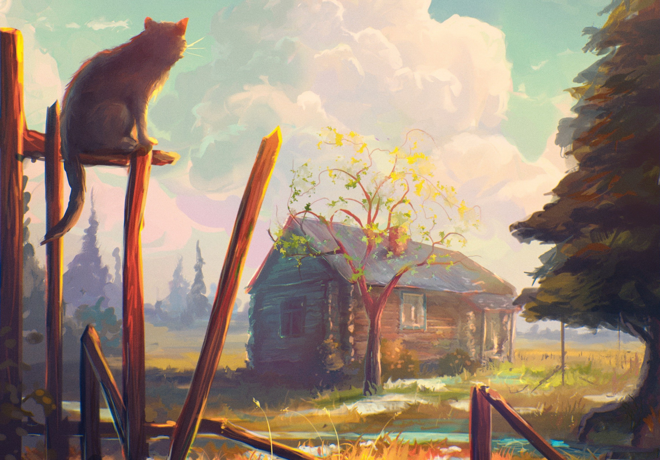 Cat on fence near house and tree HD Wallpaper