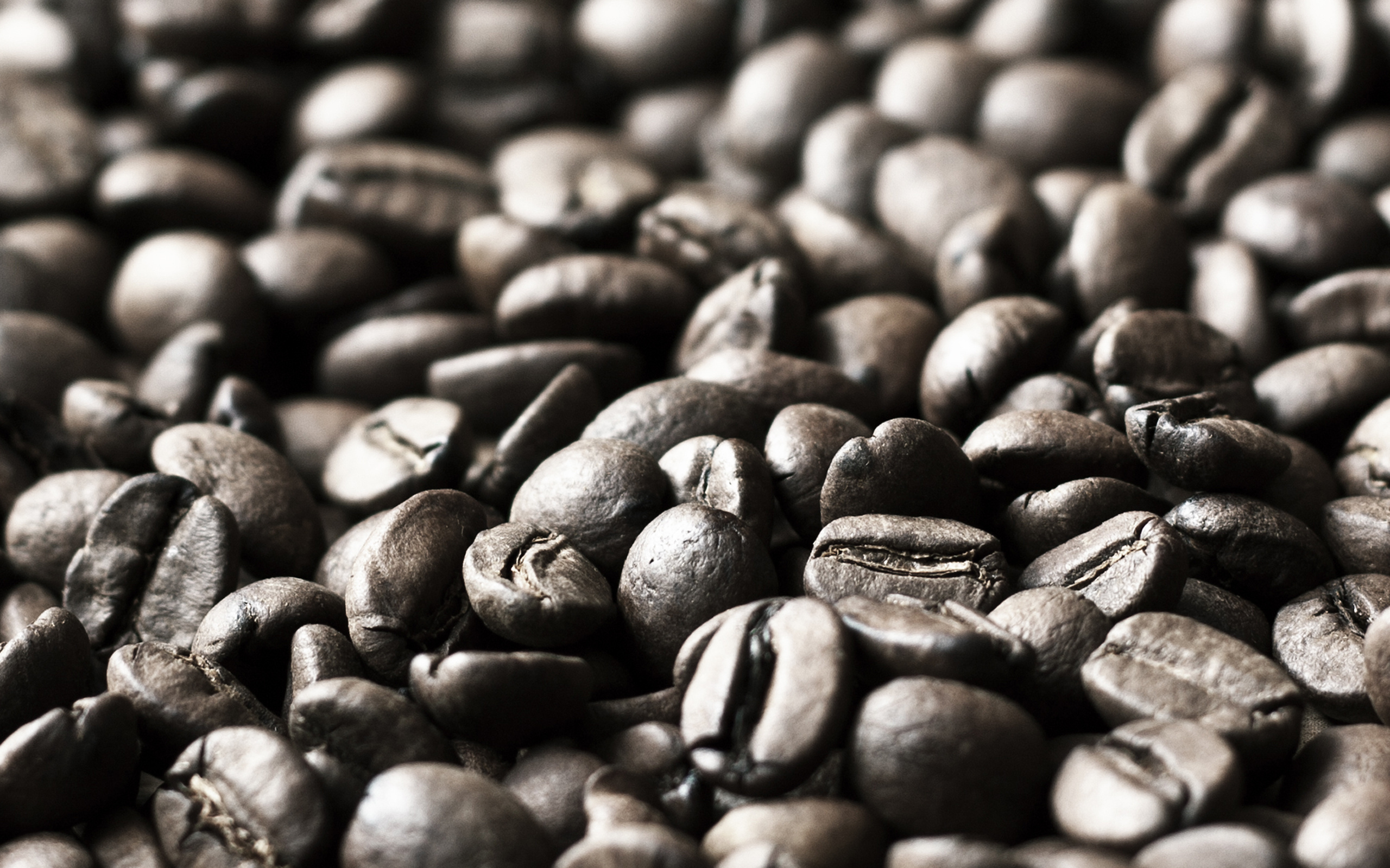 Close-up of roasted coffee beans HD Wallpaper