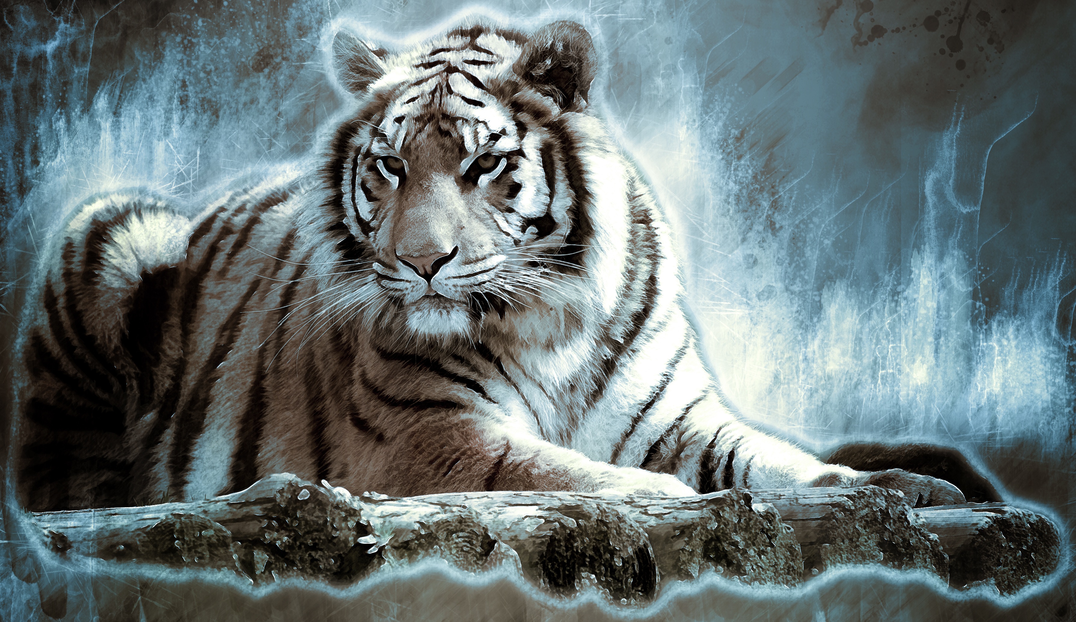Artistic White Tiger on a Log HD Wallpaper