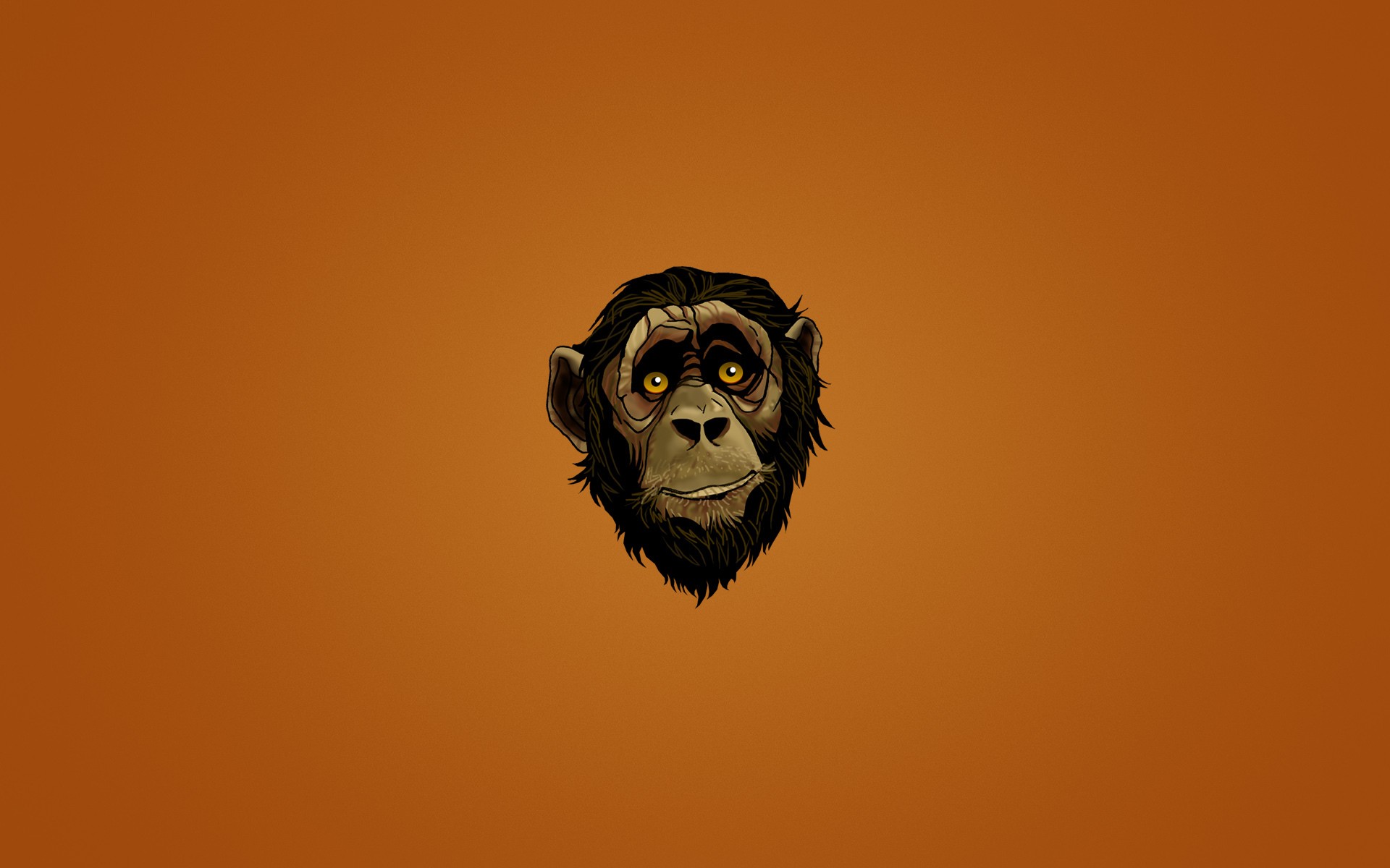 Monkey HD Wallpaper