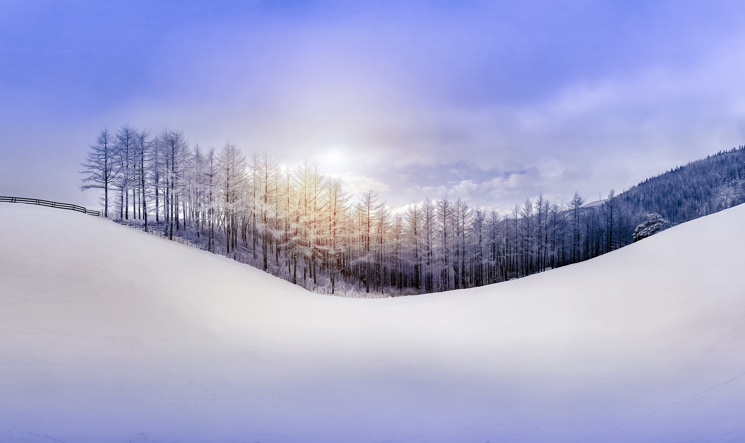 Snowy landscape with trees and a hill HD Wallpaper