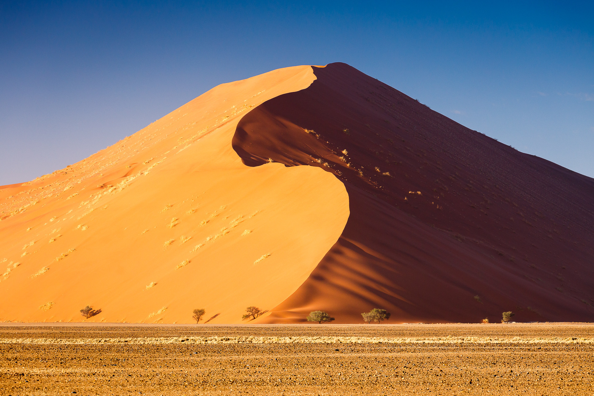 Sand dune in the desert under a clear blue sky HD Wallpaper