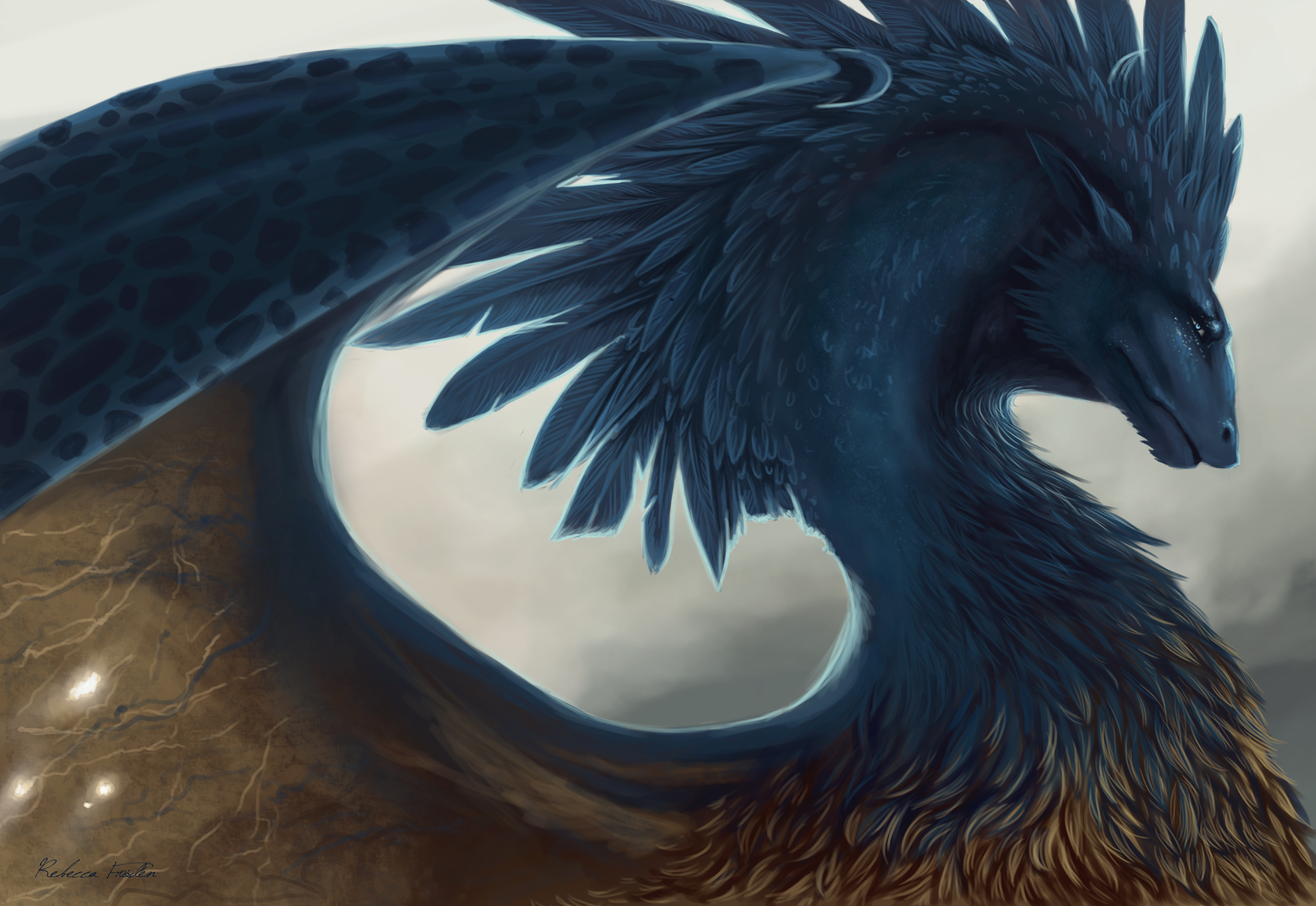 Dark Blue Feathered Dragon Creature HD Wallpaper