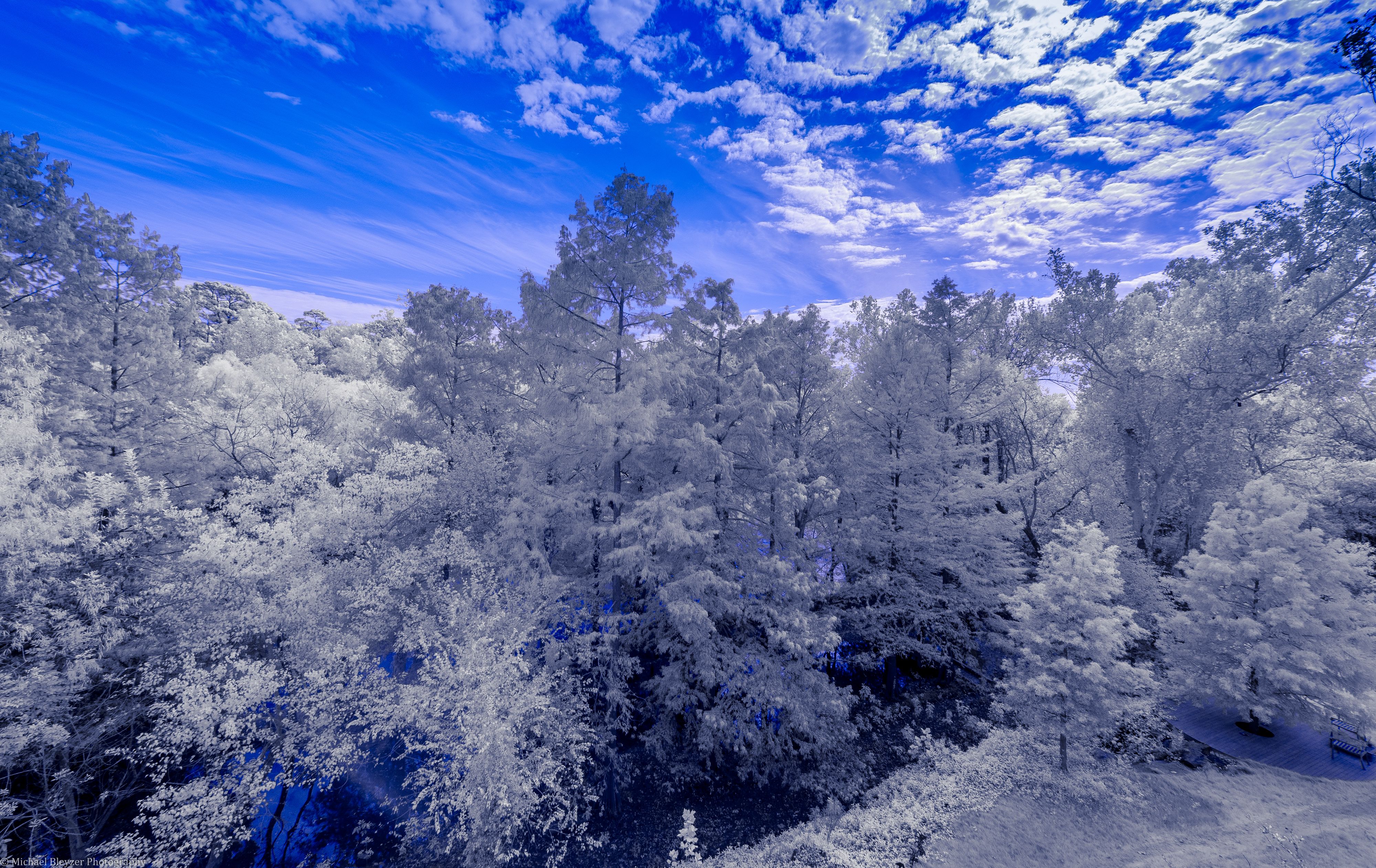 Trees and clouds in a blue sky HD Wallpaper