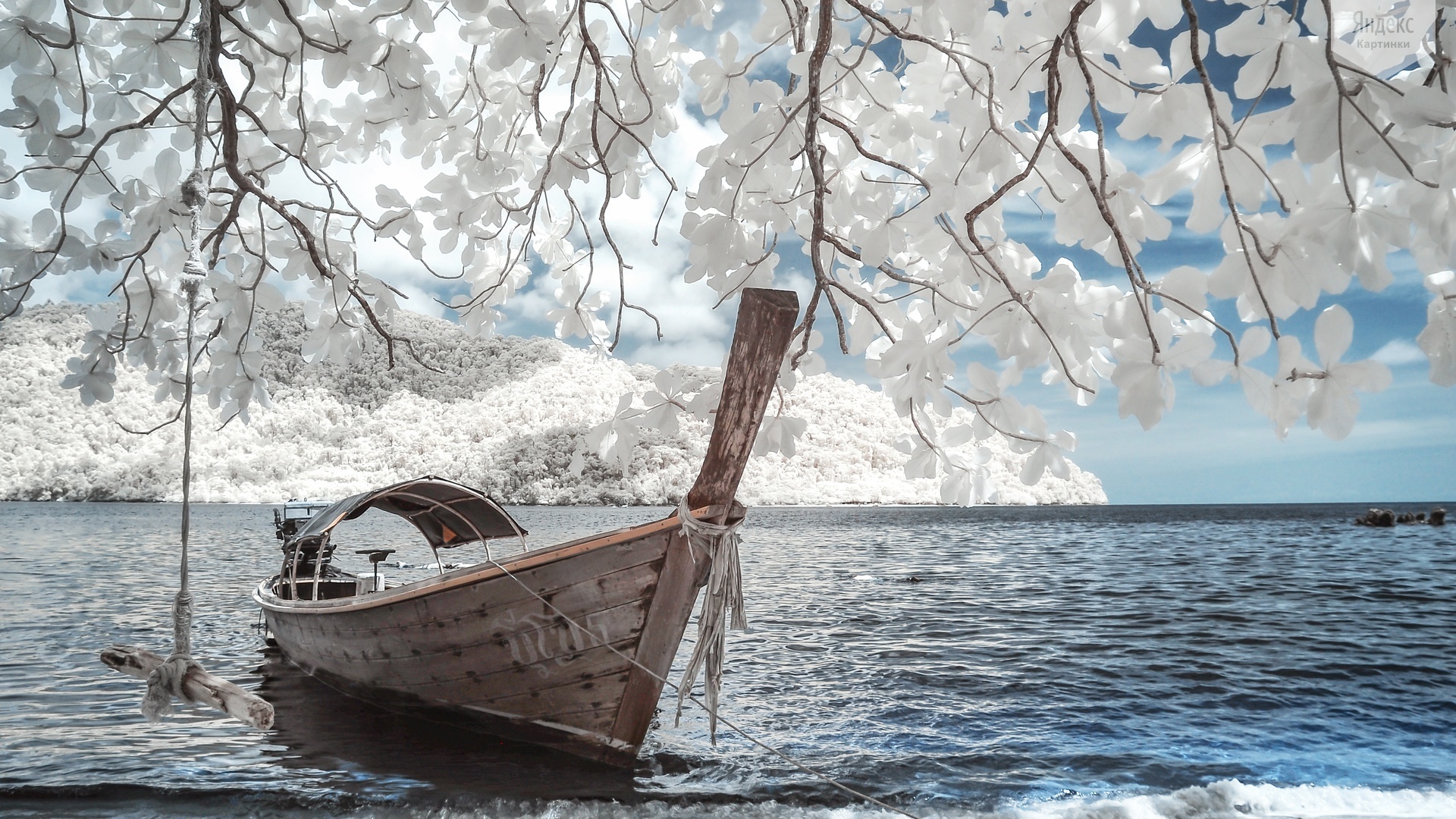 Boat on the ocean with a swing HD Wallpaper