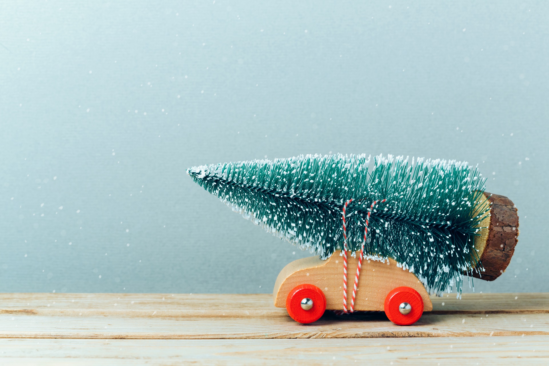 Toy car carrying a Christmas tree HD Wallpaper