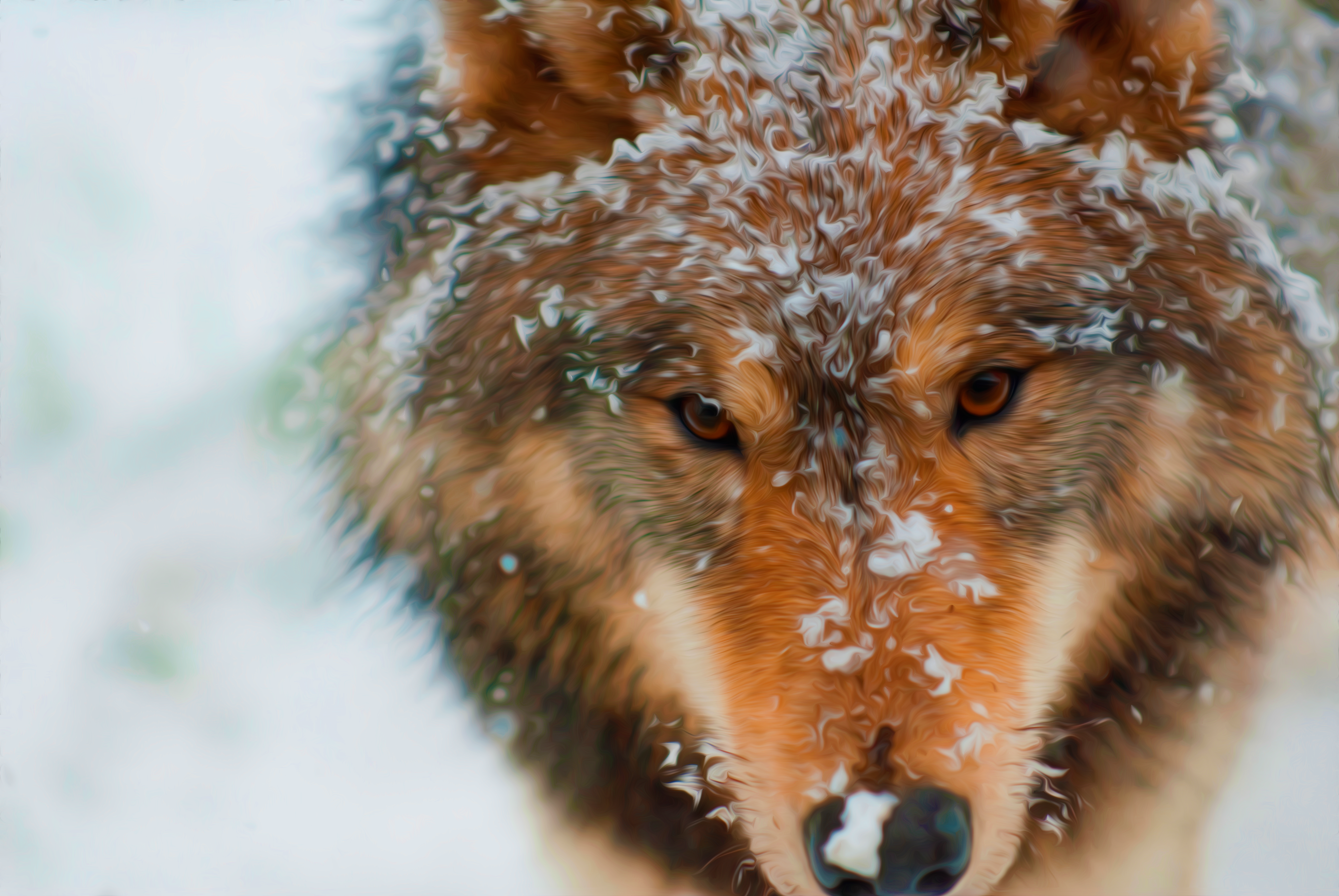 Oil painting of a wolf in the snow HD Wallpaper