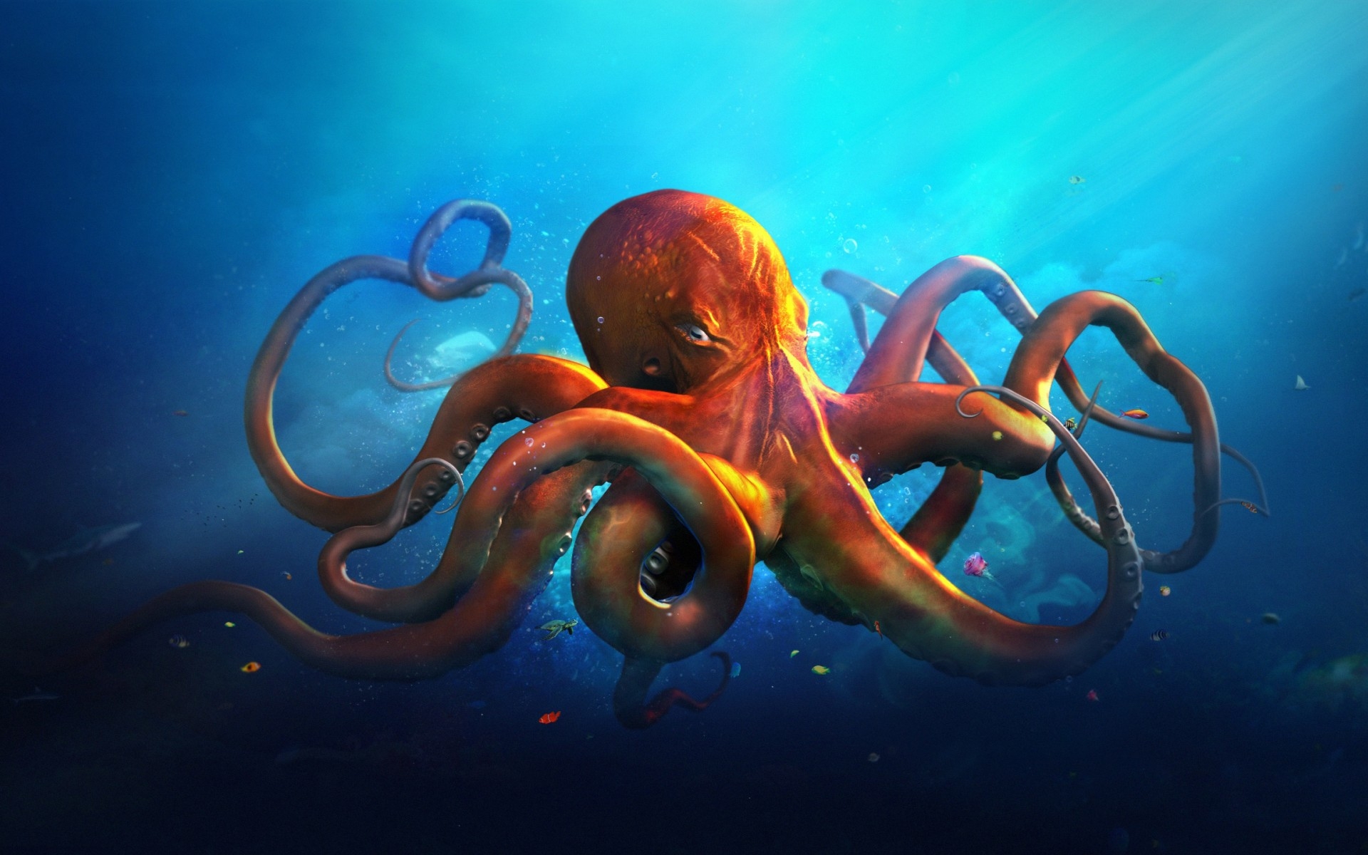 An orange octopus swims in the ocean HD Wallpaper