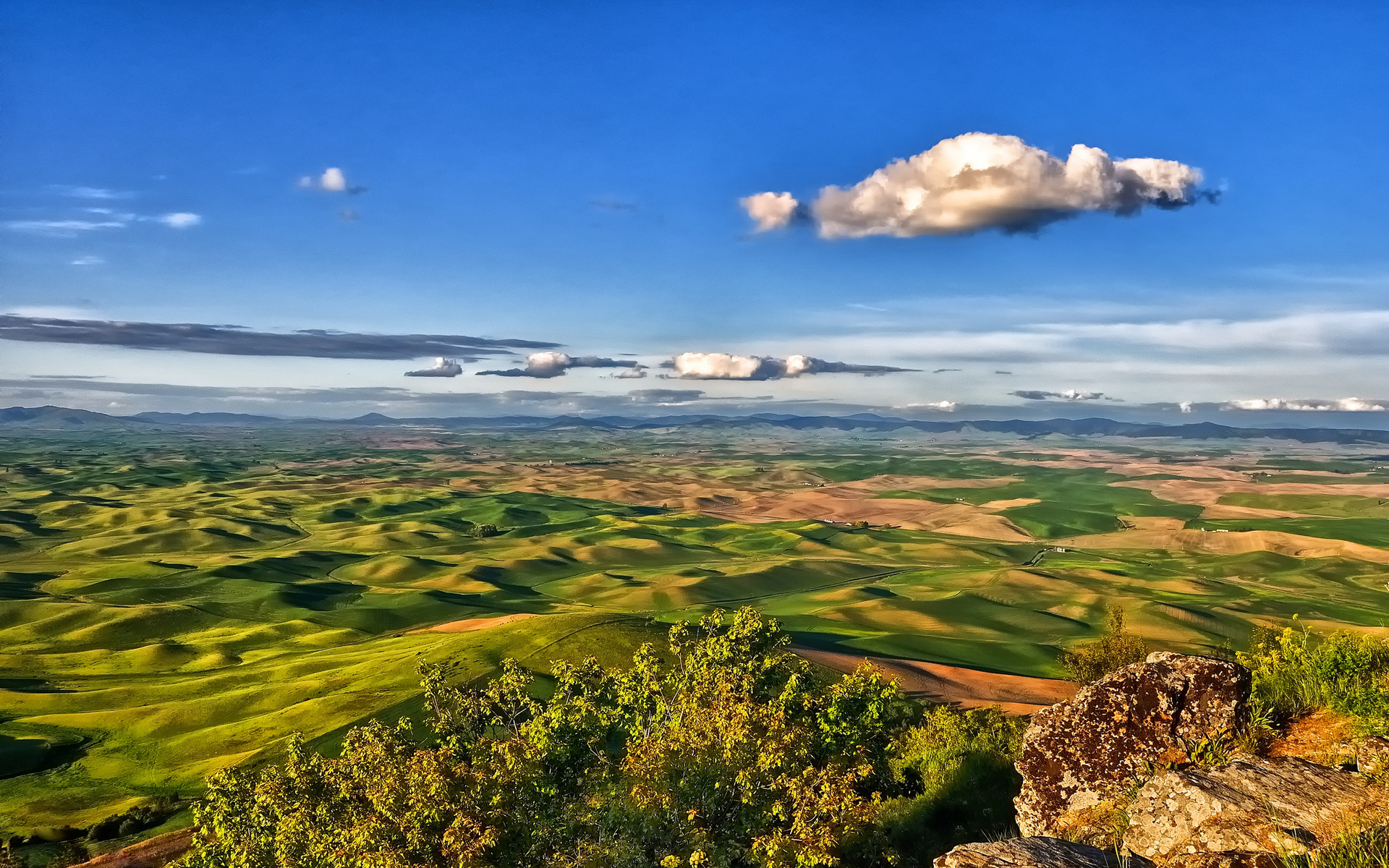 Rolling green hills under a blue sky HD Wallpaper