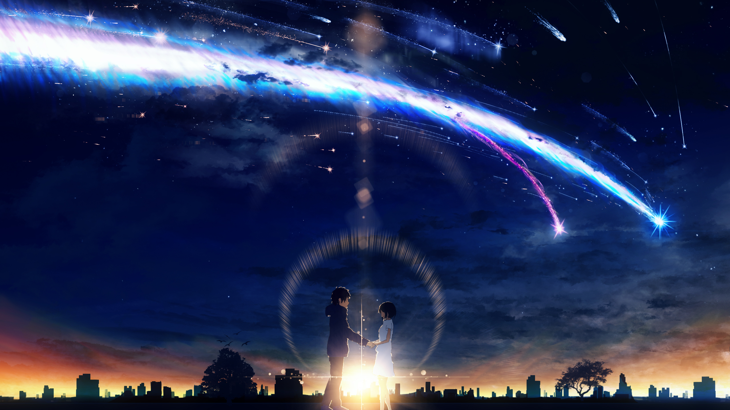 Mitsuha Miyamizu and Taki Tachibana under meteor shower HD Wallpaper