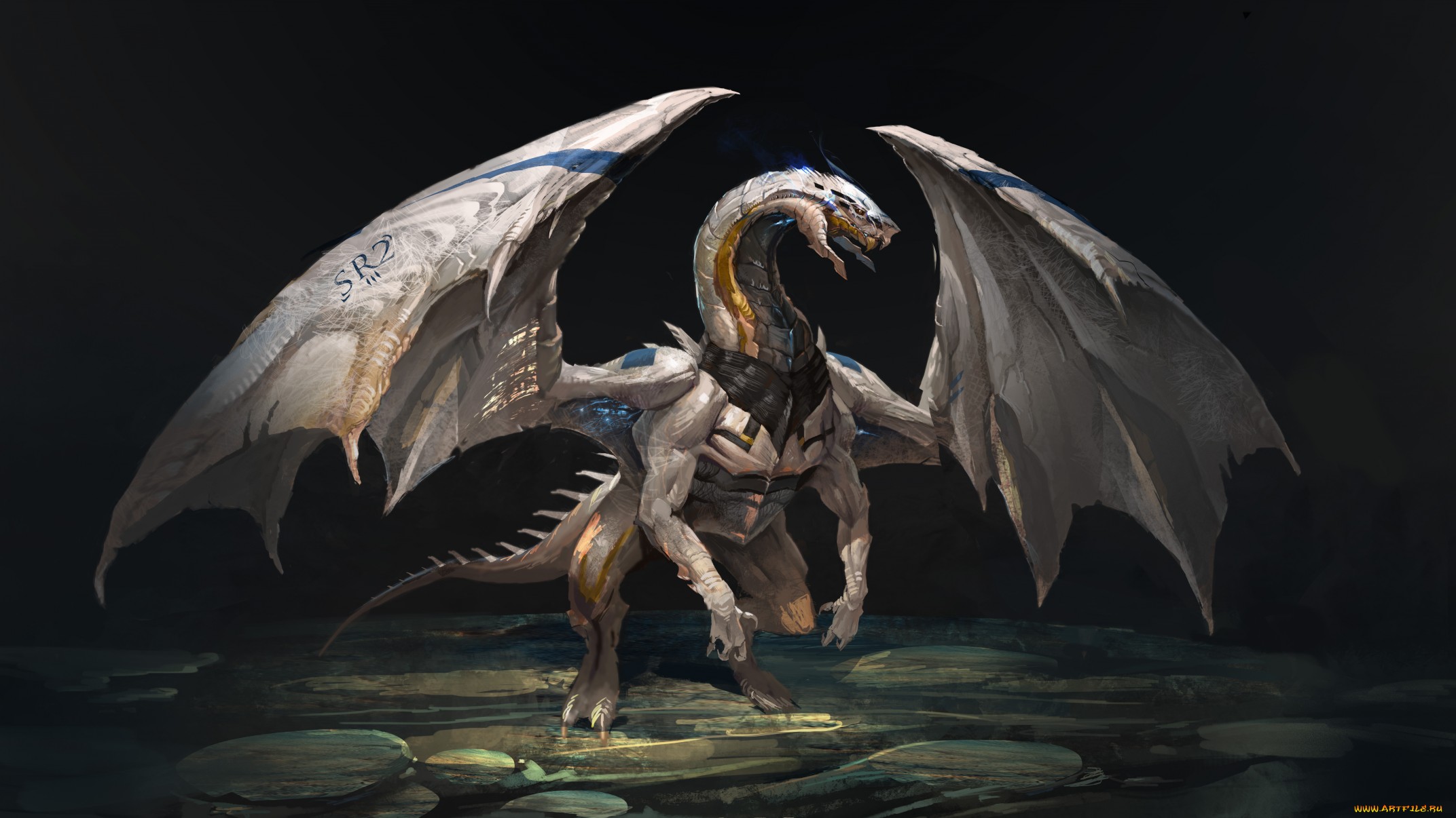 Fantasy Dragon with SR2 marking HD Wallpaper