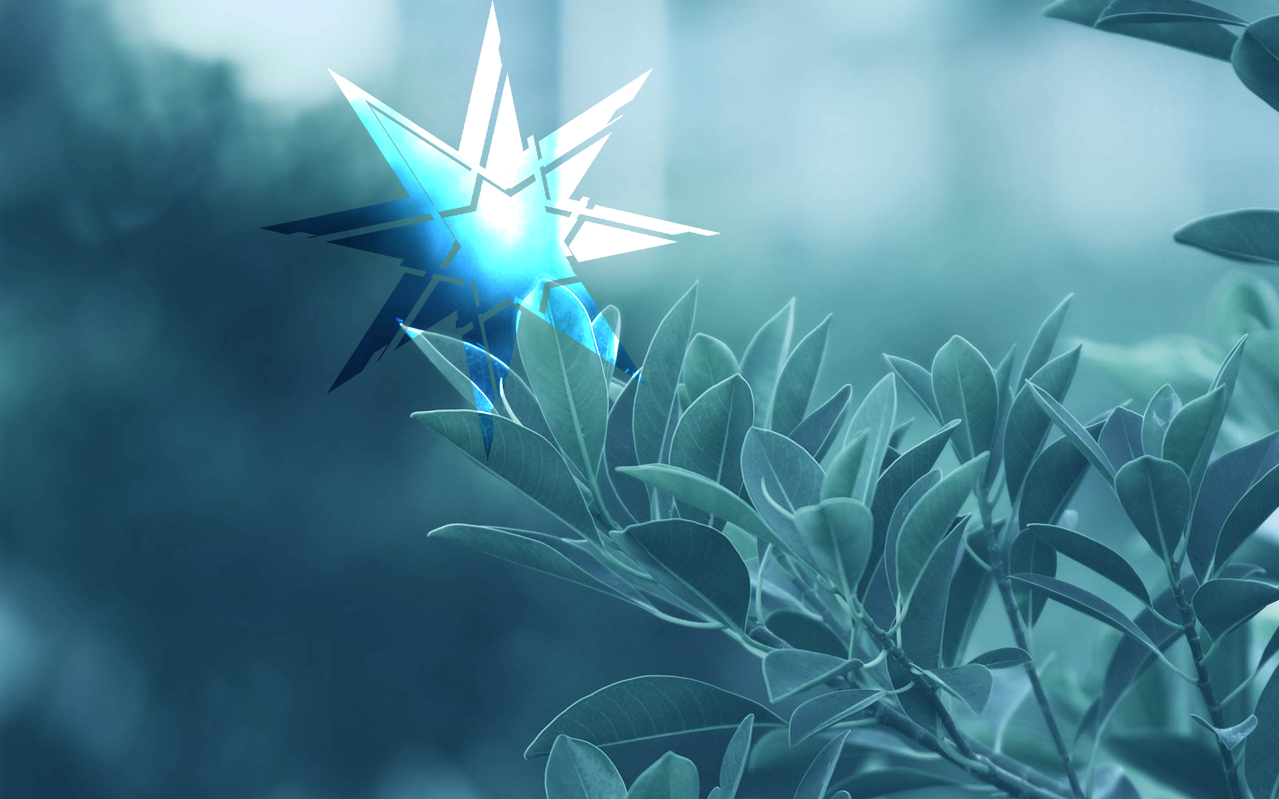 Blue star on a branch with green leaves HD Wallpaper