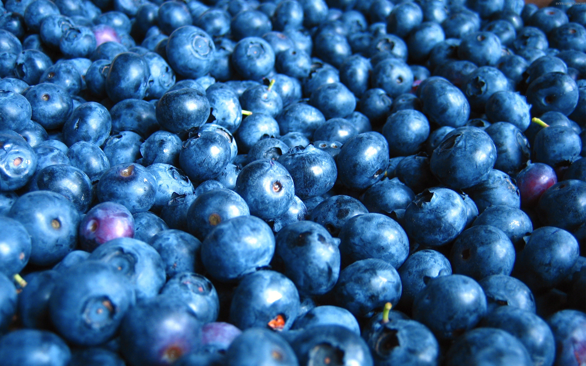 Close-up of fresh blueberries HD Wallpaper