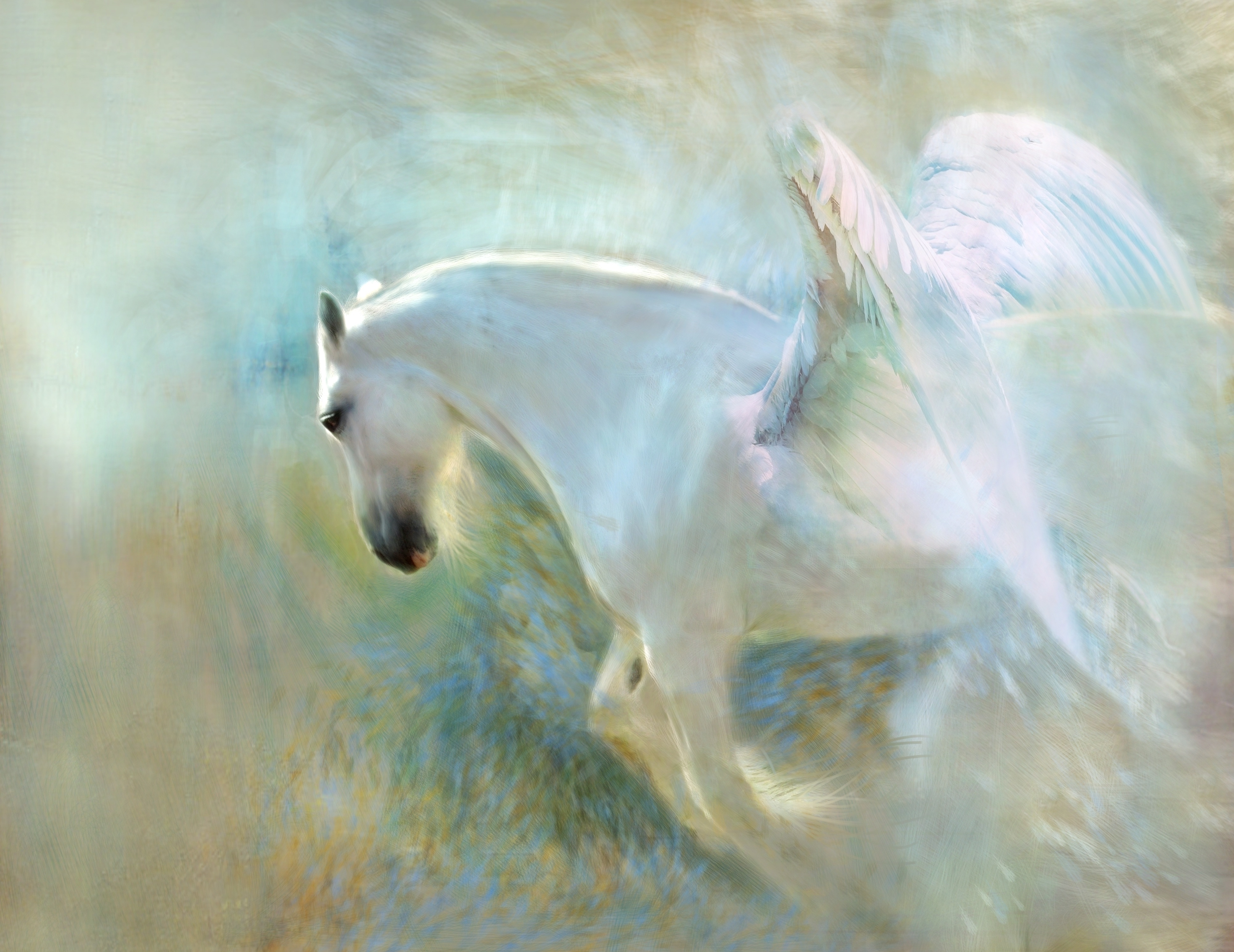 Artistic painting of a white Pegasus with wings HD Wallpaper