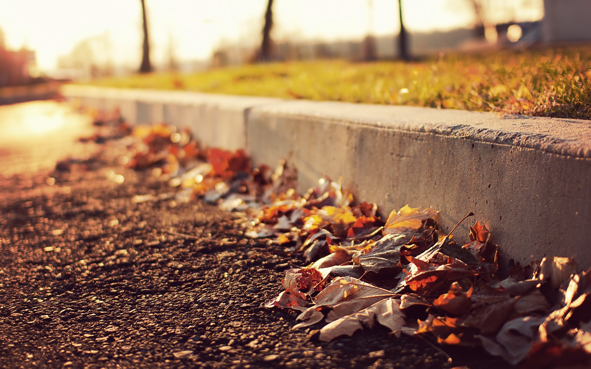 Autumn leaves on the curb HD Wallpaper