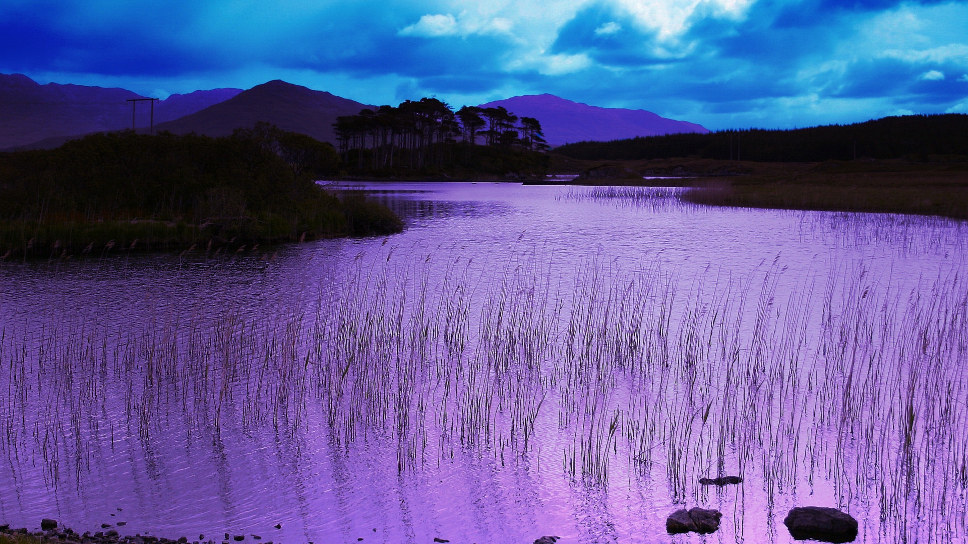 Purple lake with mountains and reeds HD Wallpaper