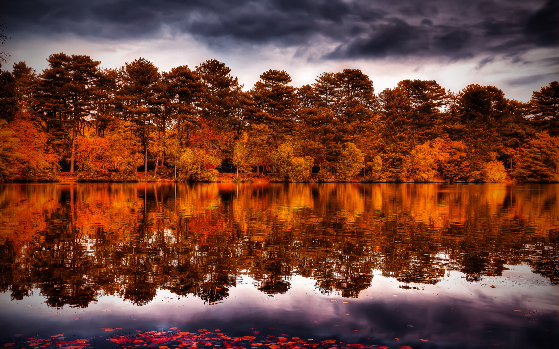 Autumn forest reflected in a lake under a cloudy sky HD Wallpaper
