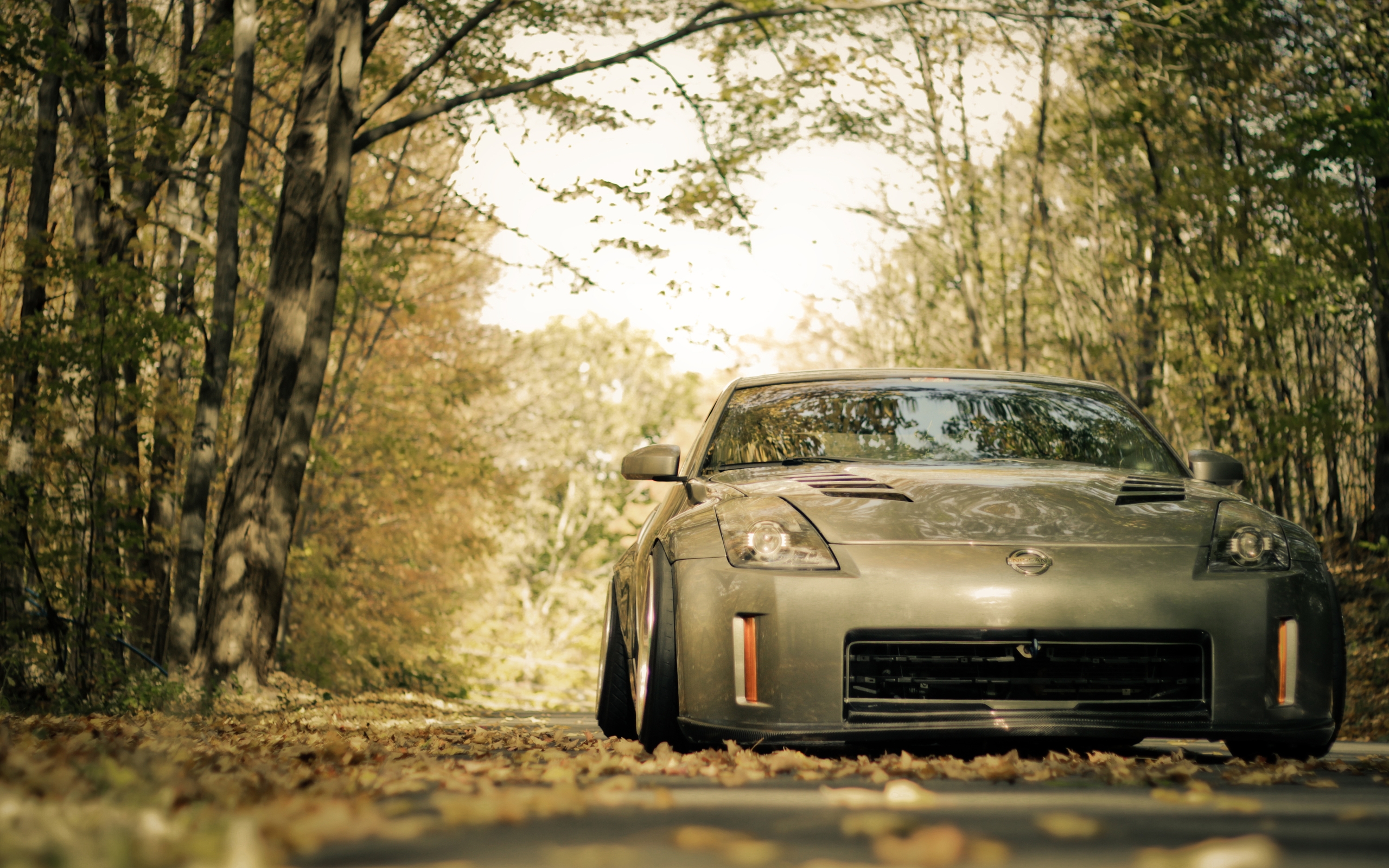 Nissan 350Z on a forest road in autumn HD Wallpaper