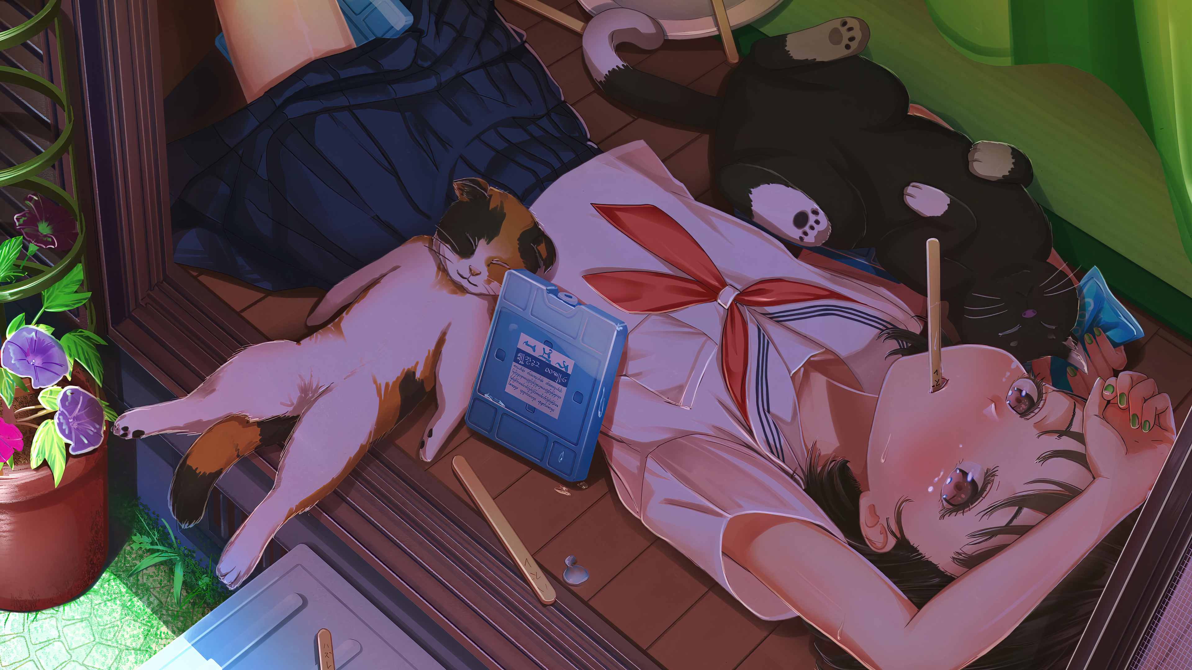 Anime girl and cats sleeping in summer HD Wallpaper