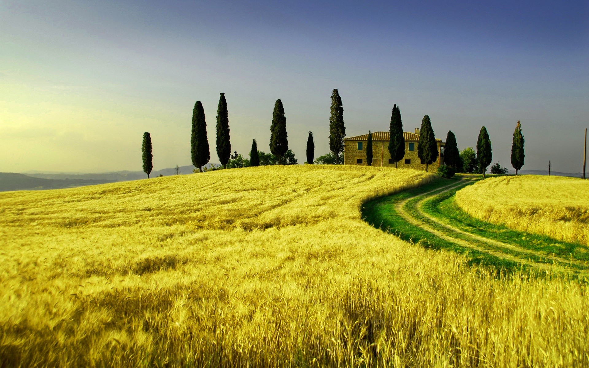 Tuscan Wheat Field with Cypress Trees and Farmhouse HD Wallpaper