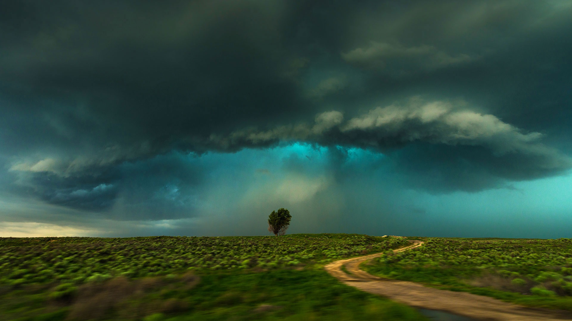 Stormy sky over a lonely tree and dirt road HD Wallpaper