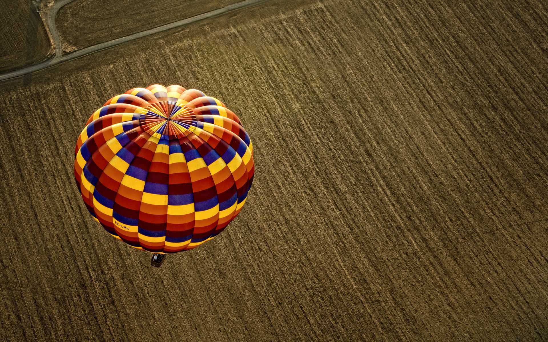 Hot air balloon over a field HD Wallpaper