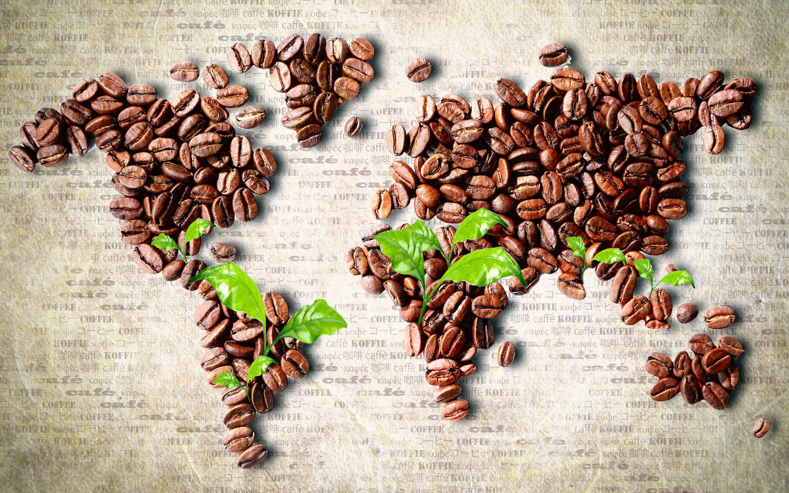 World map made of coffee beans HD Wallpaper