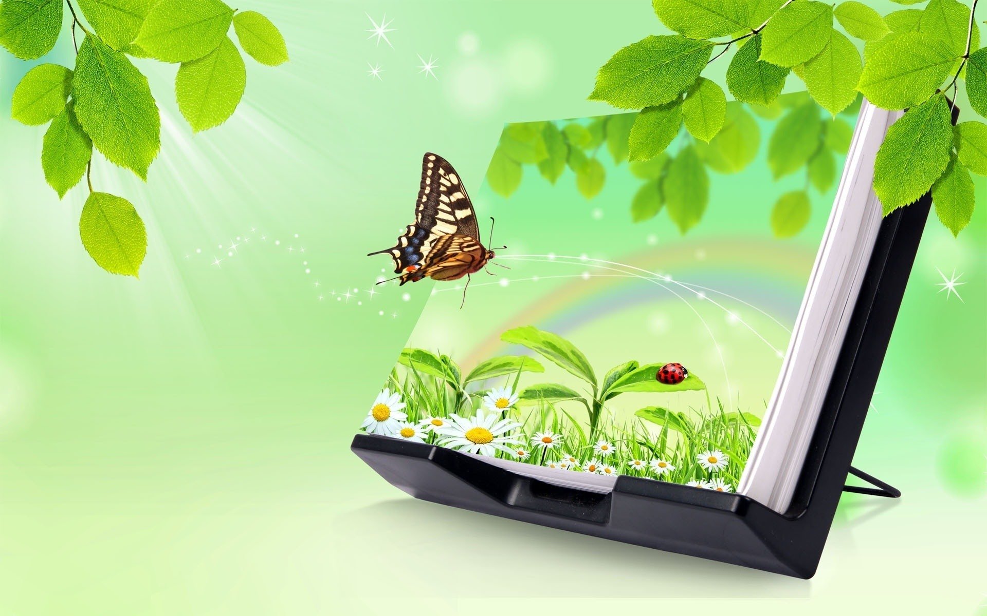 Butterfly and ladybug on a book with nature scene HD Wallpaper