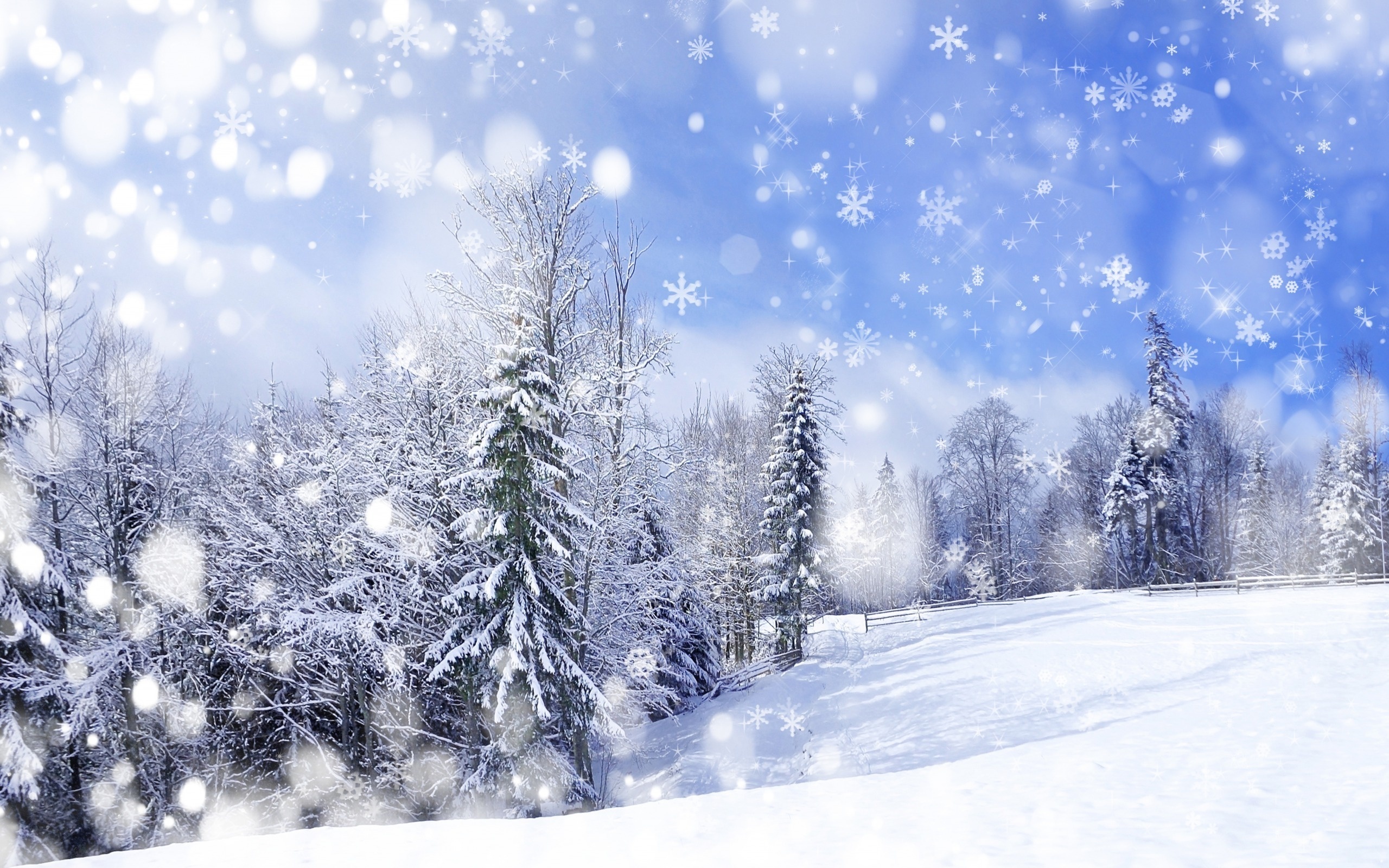 Winter forest with snow falling HD Wallpaper
