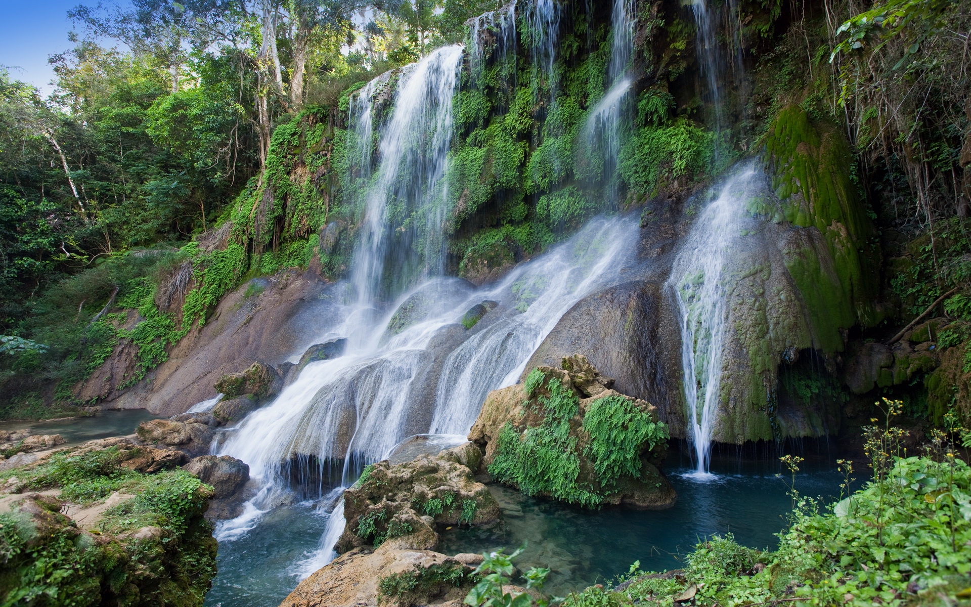Waterfall in a lush green forest HD Wallpaper