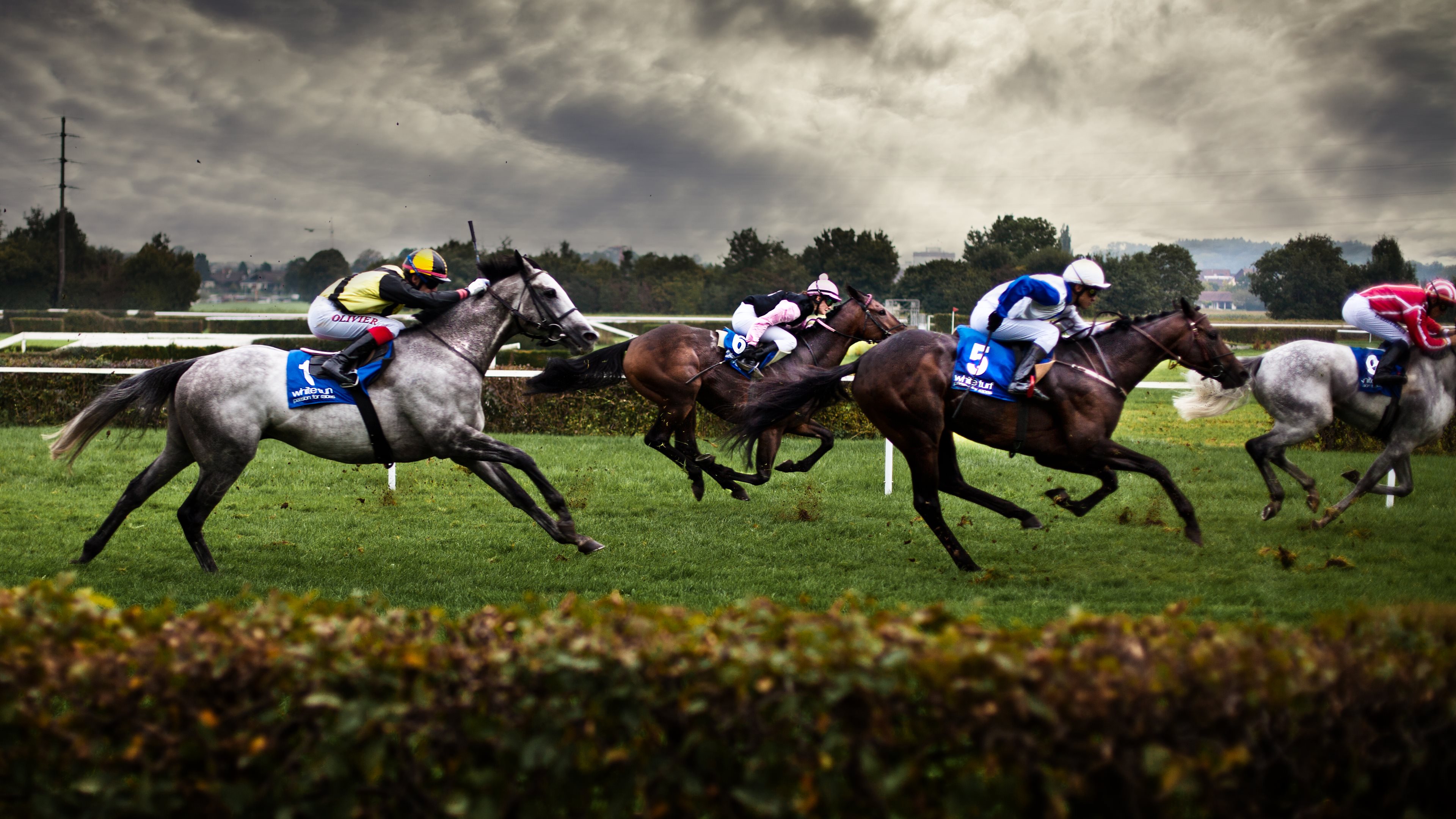 Horse race with jockeys on a grassy track HD Wallpaper