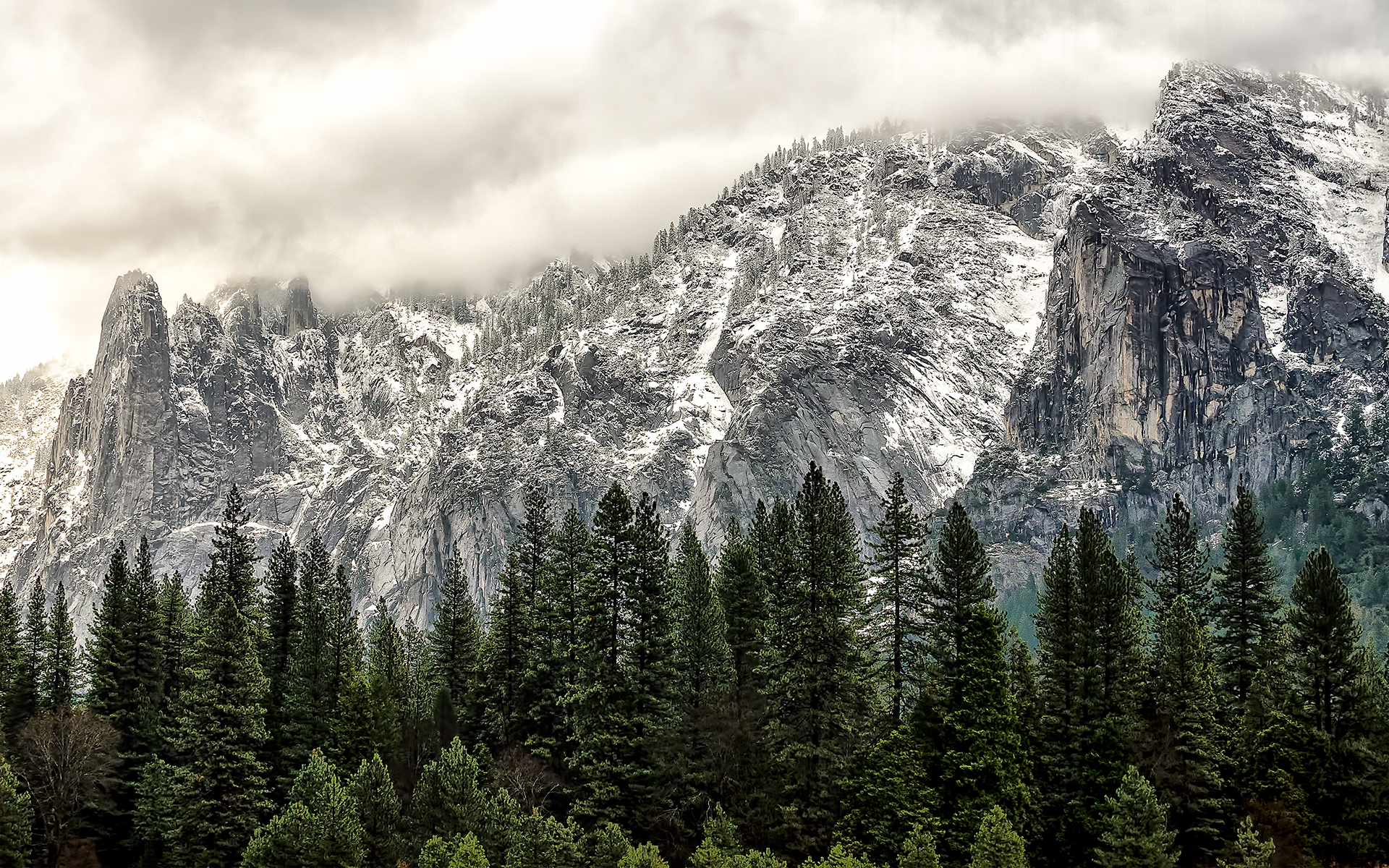 Snow-dusted mountains behind a pine forest HD Wallpaper