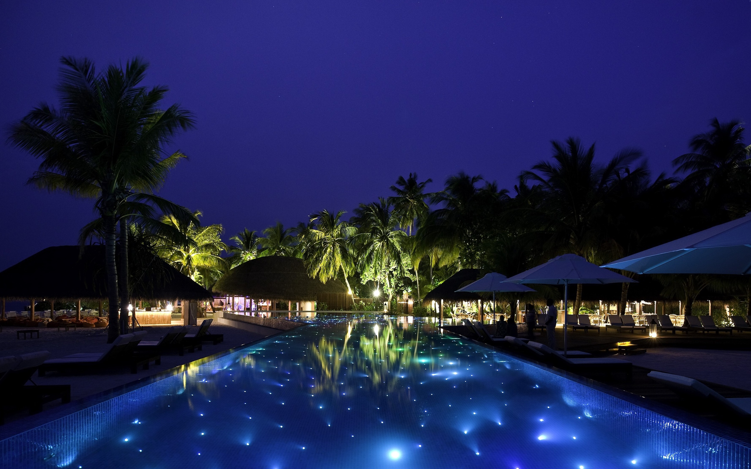 Tropical resort swimming pool at night with palm trees HD Wallpaper