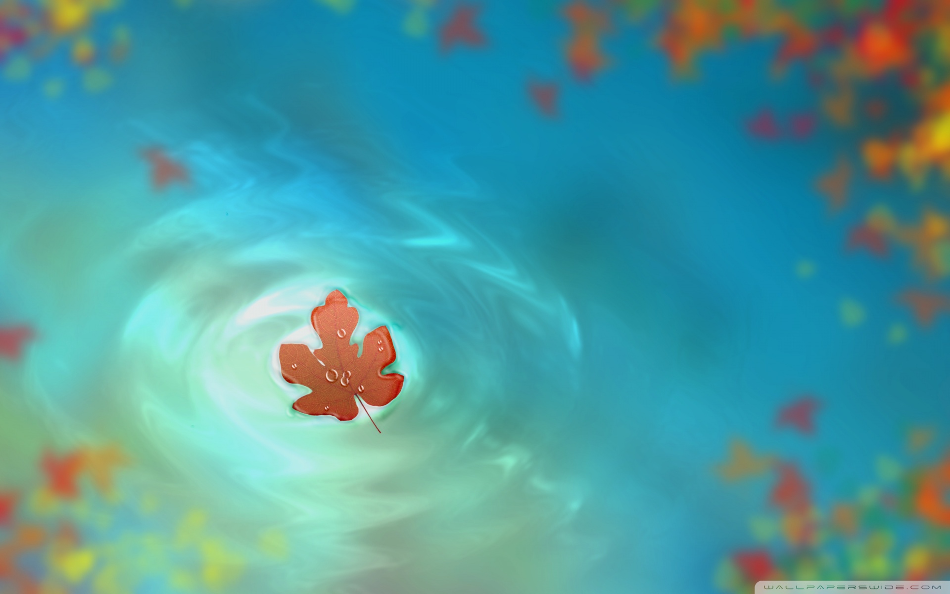 Autumn leaf floating in water HD Wallpaper