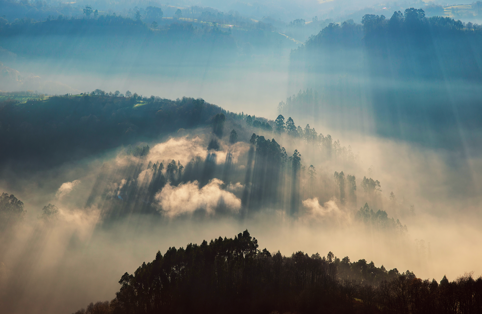 Sunbeams through fog over forested hills HD Wallpaper