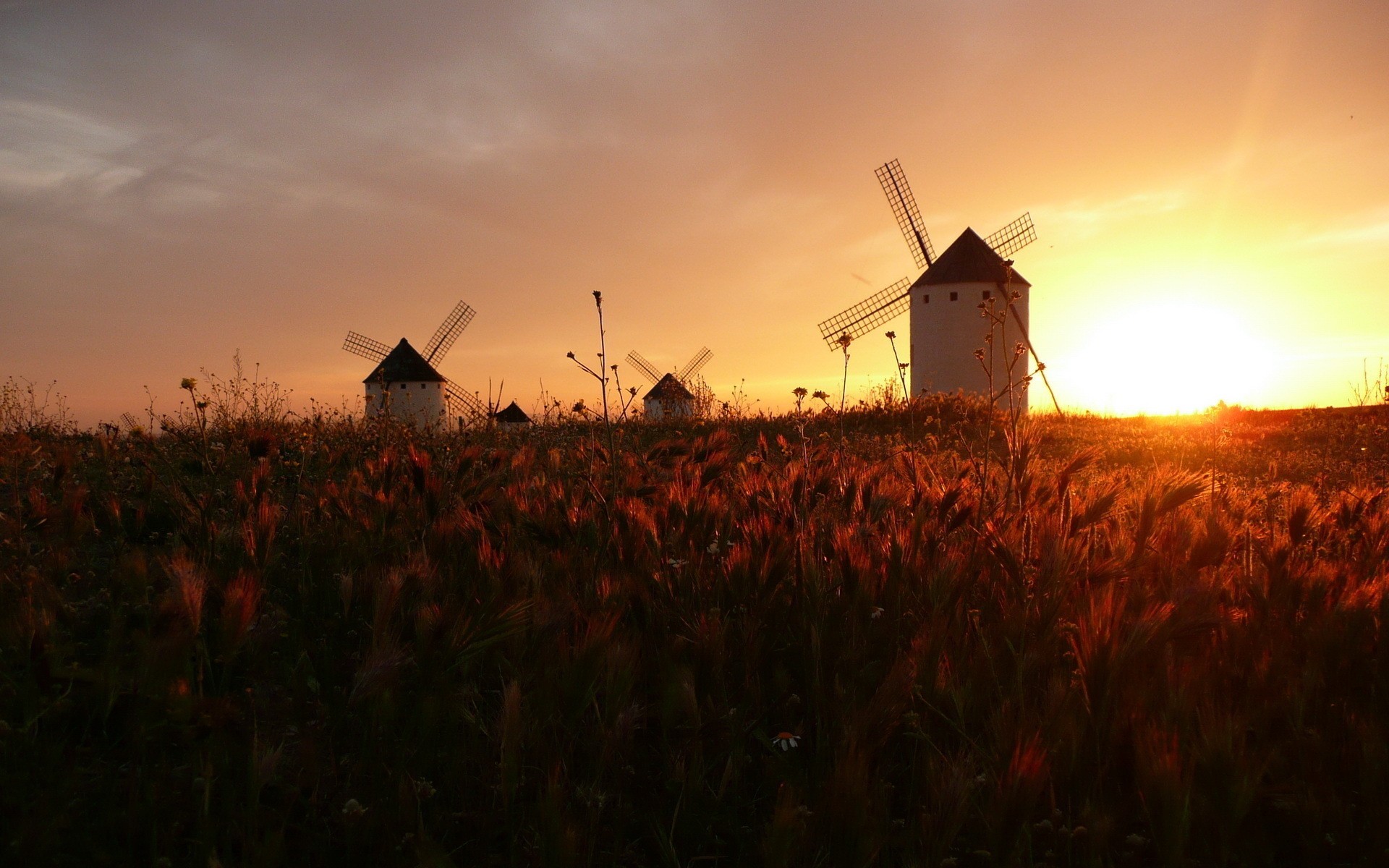 Windmills in a field at sunset HD Wallpaper