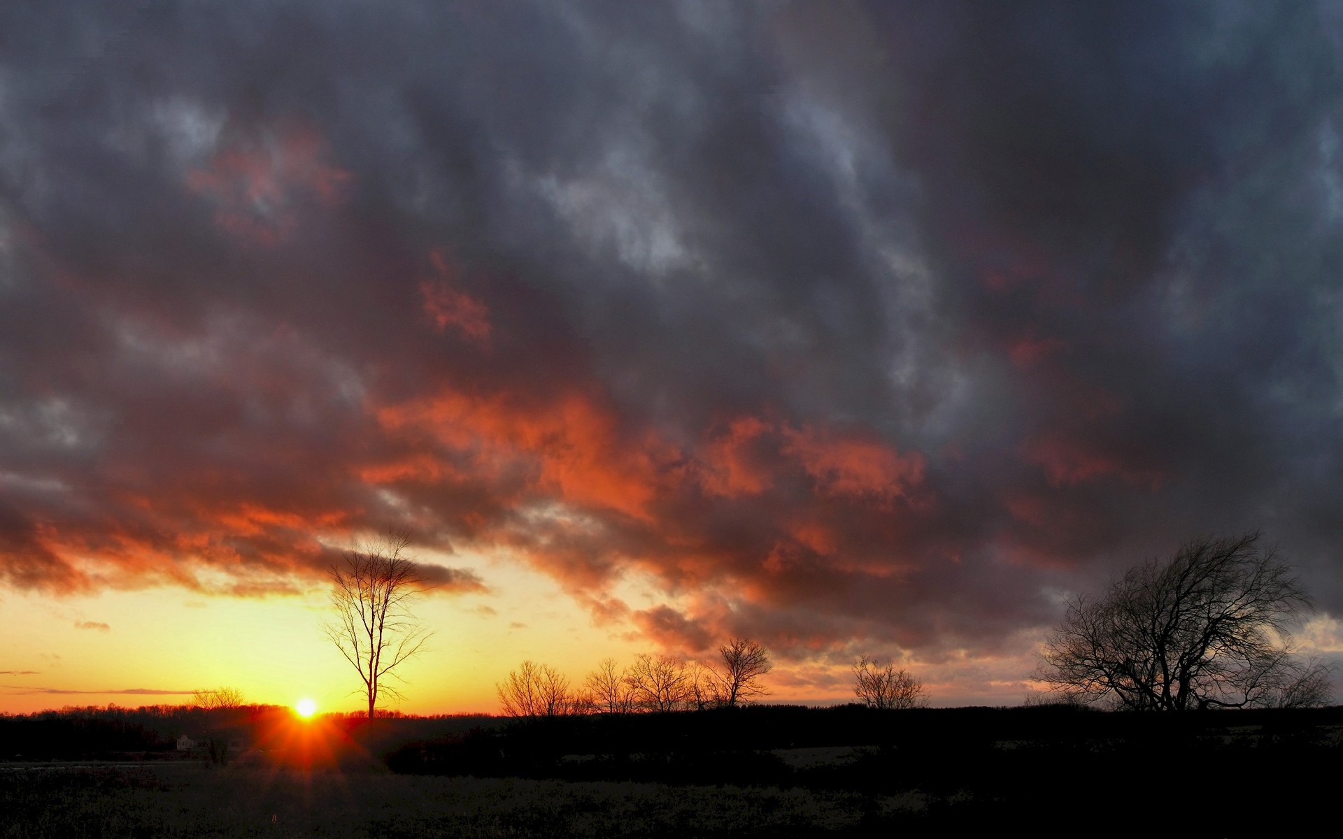 Sunset over a field with trees HD Wallpaper