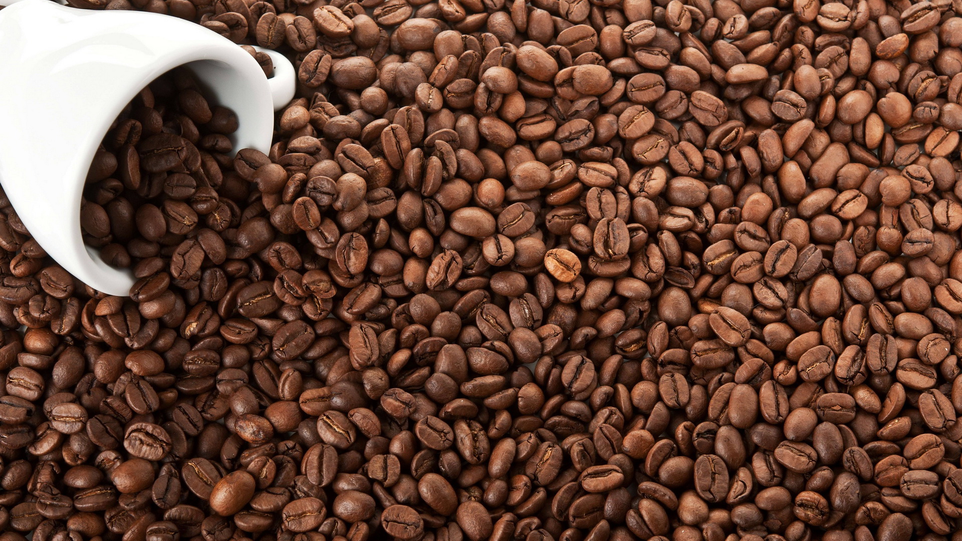 Coffee Beans and White Cup HD Wallpaper