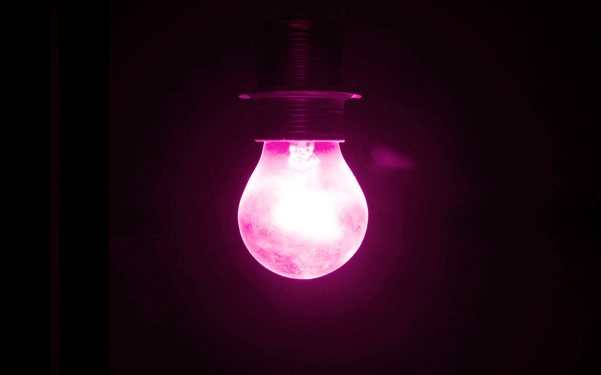 Pink light bulb in darkness HD Wallpaper
