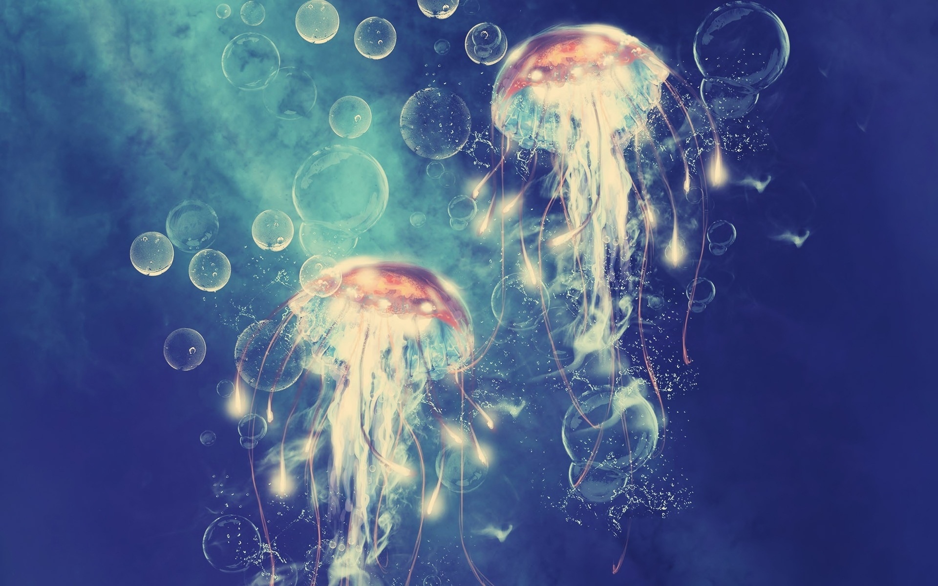 Two glowing jellyfish and bubbles in blue water HD Wallpaper