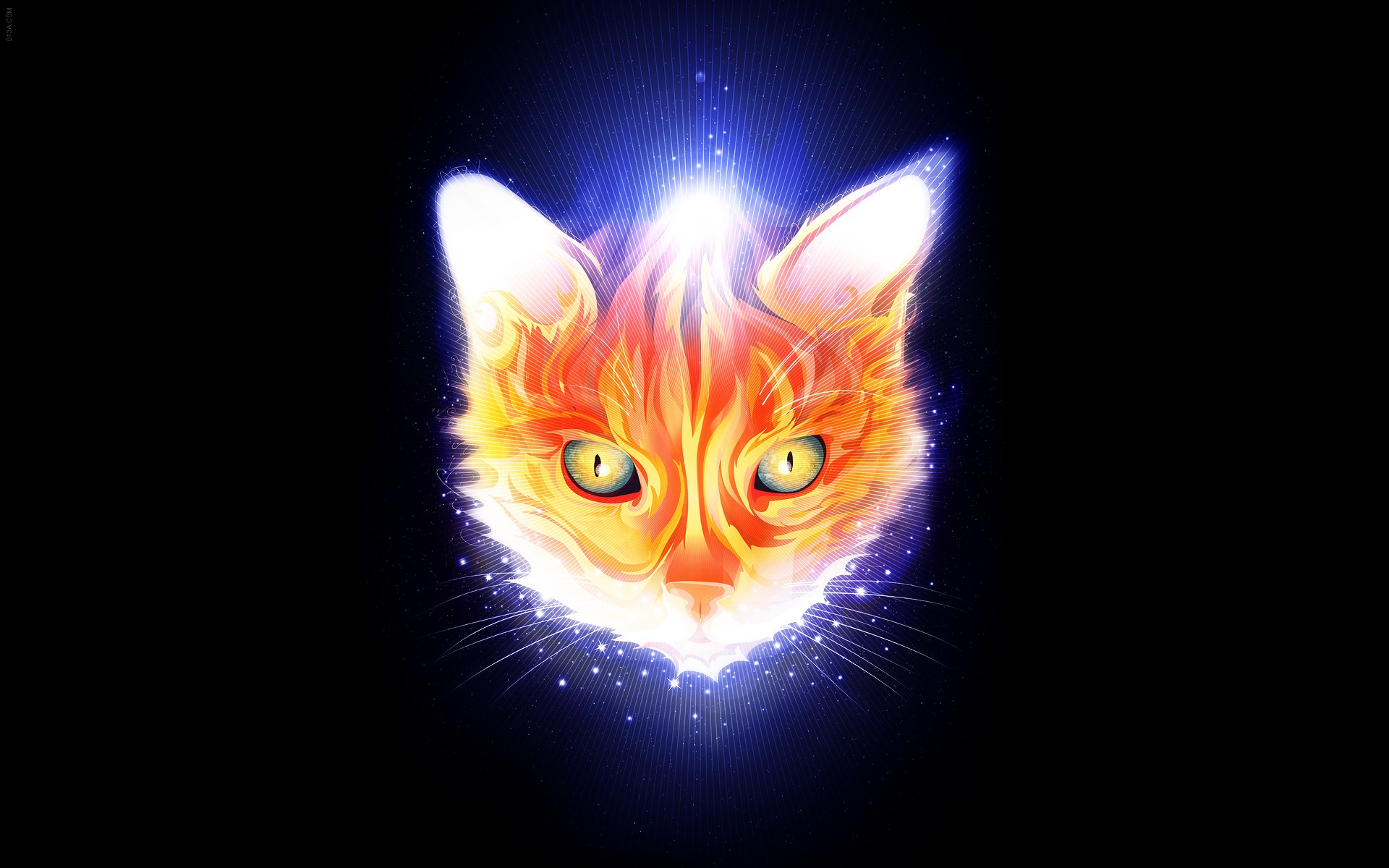 Orange cat with glowing blue aura HD Wallpaper