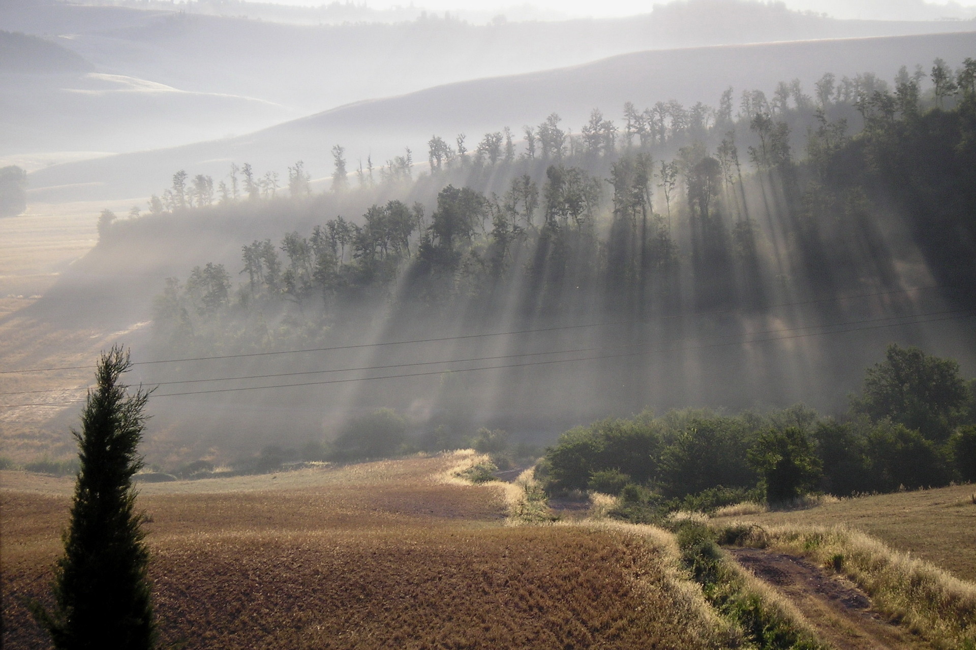 Sunbeams through fog over rolling hills and trees HD Wallpaper