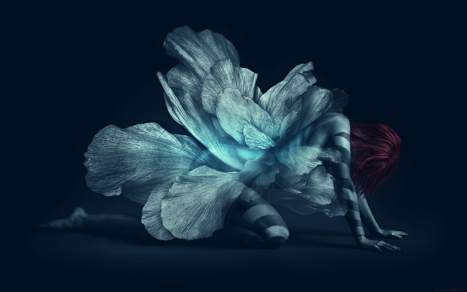 Woman merging with a large flower HD Wallpaper