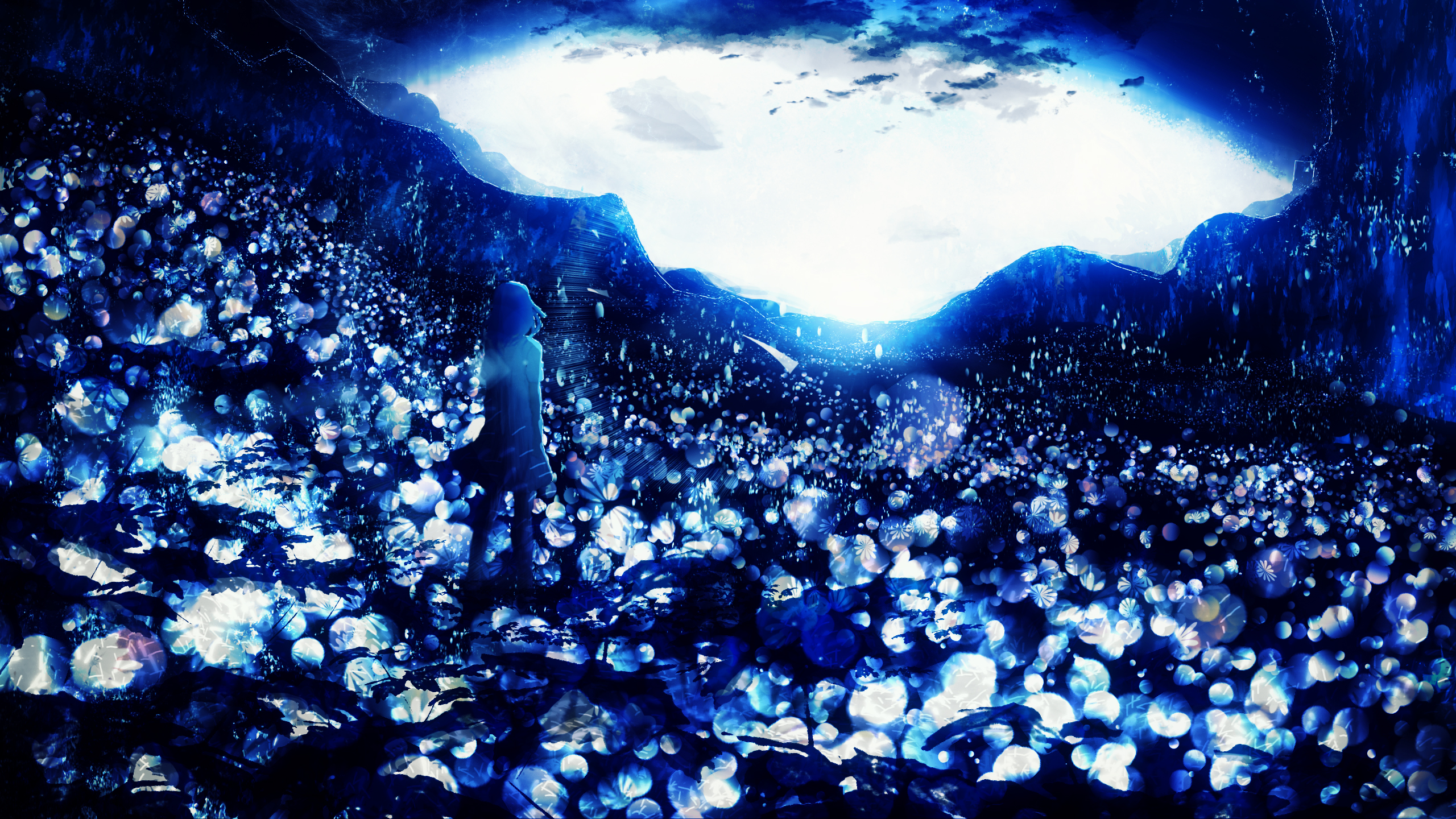 Person in a field of glowing flowers HD Wallpaper