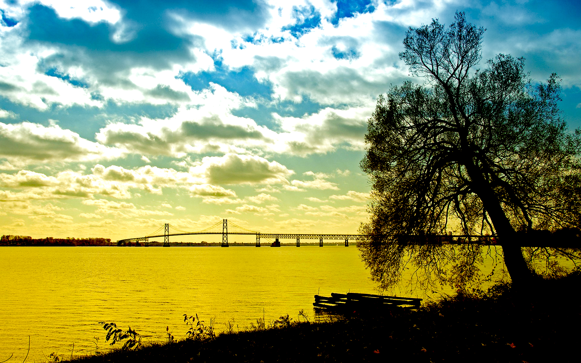 Bridge over water with a tree in the foreground HD Wallpaper