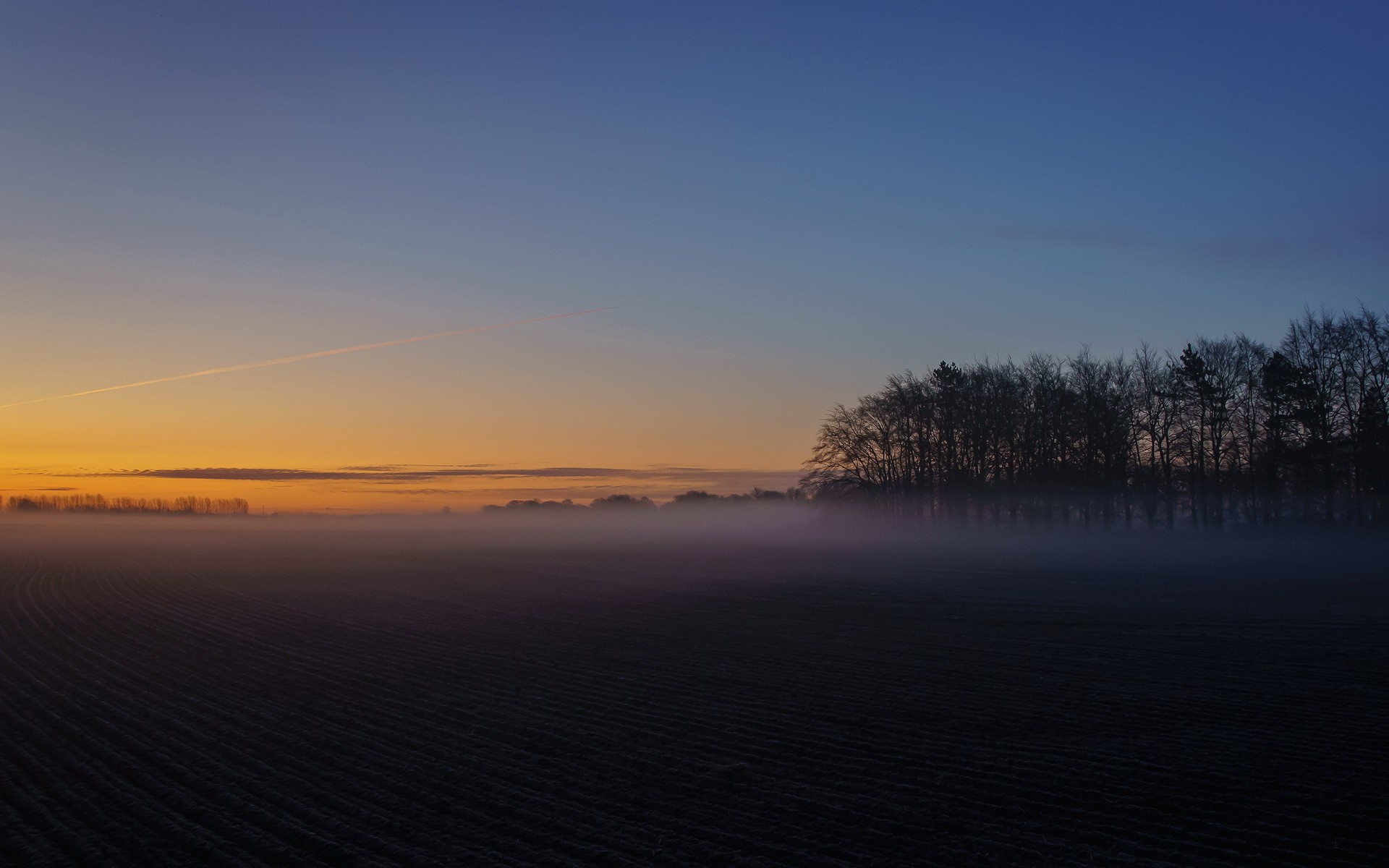 Field with fog at sunrise HD Wallpaper