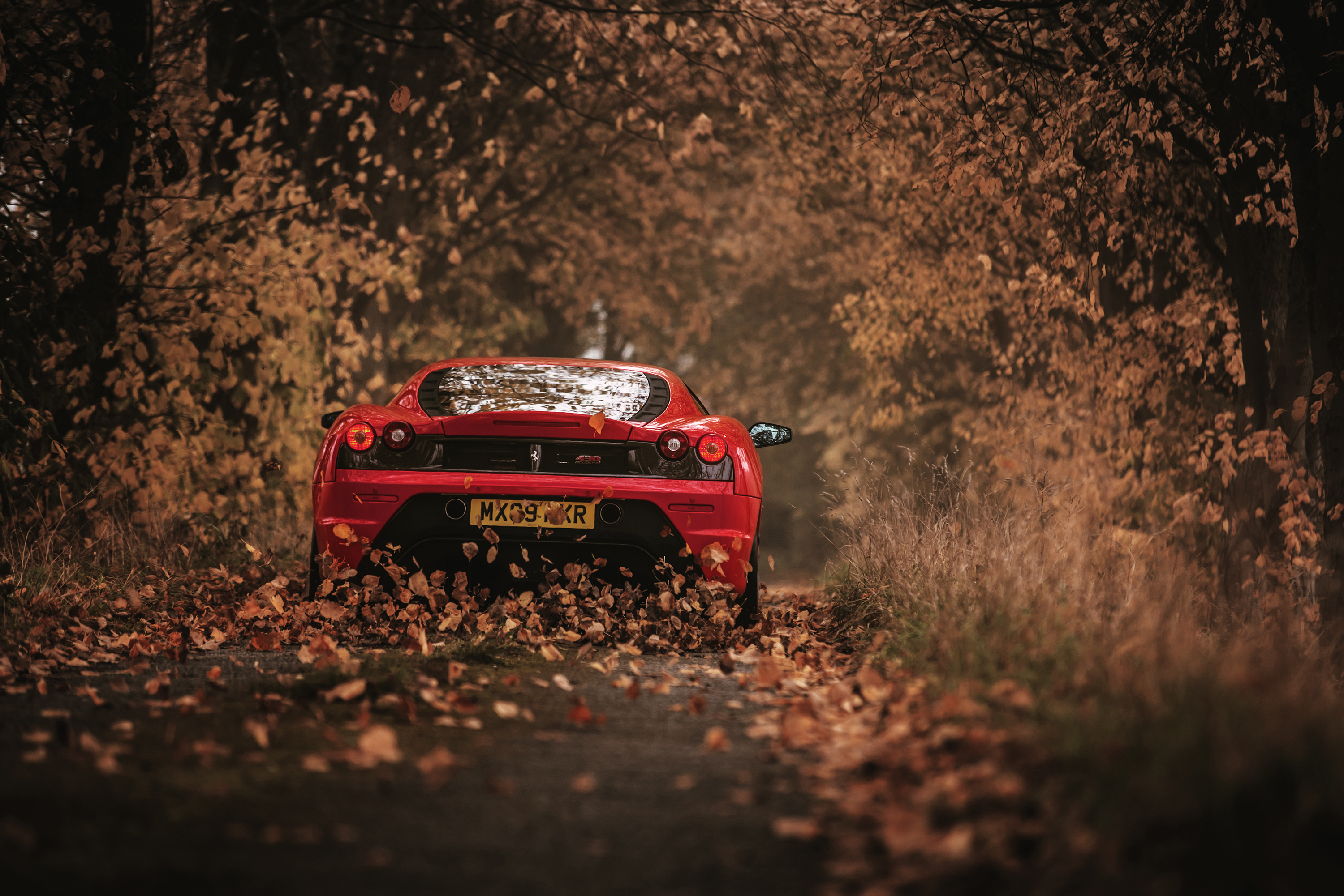 Red Ferrari F430 on a leaf-covered road HD Wallpaper