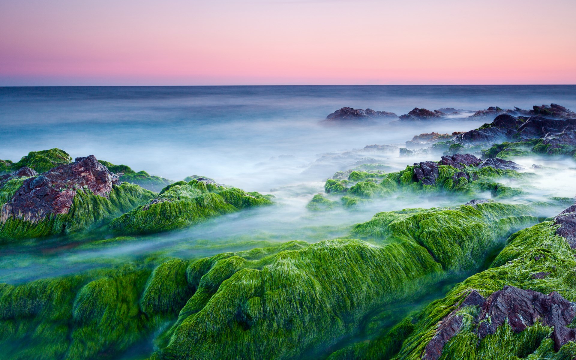 Mossy rocks on a misty coastline at sunset HD Wallpaper