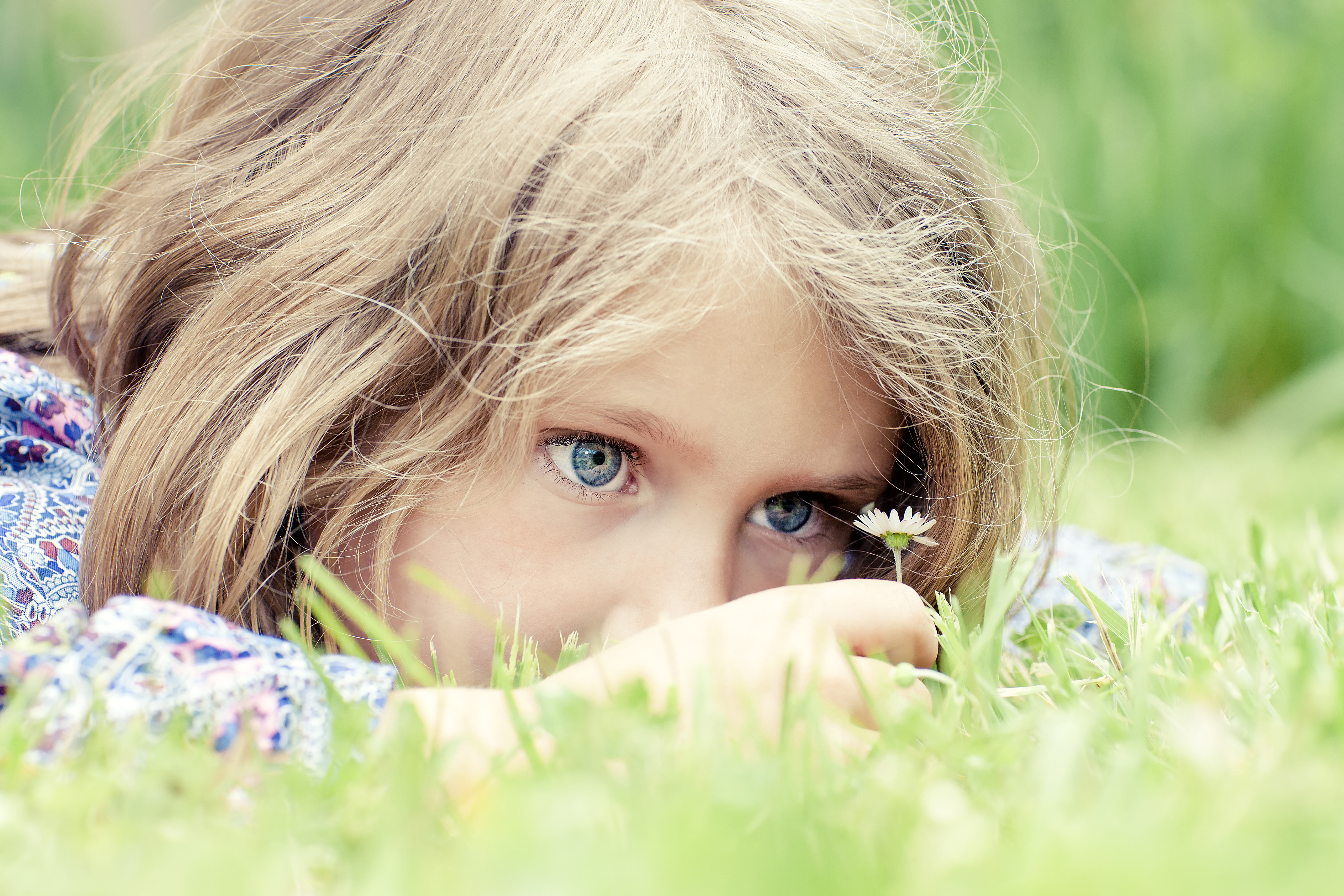 Girl with a daisy in the grass HD Wallpaper