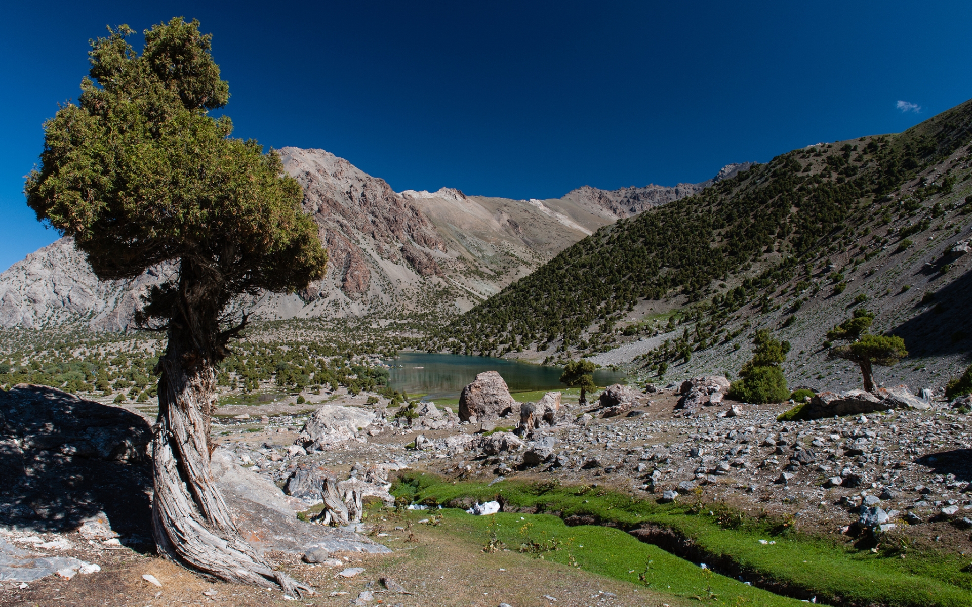 Mountain lake with trees and rocky terrain HD Wallpaper